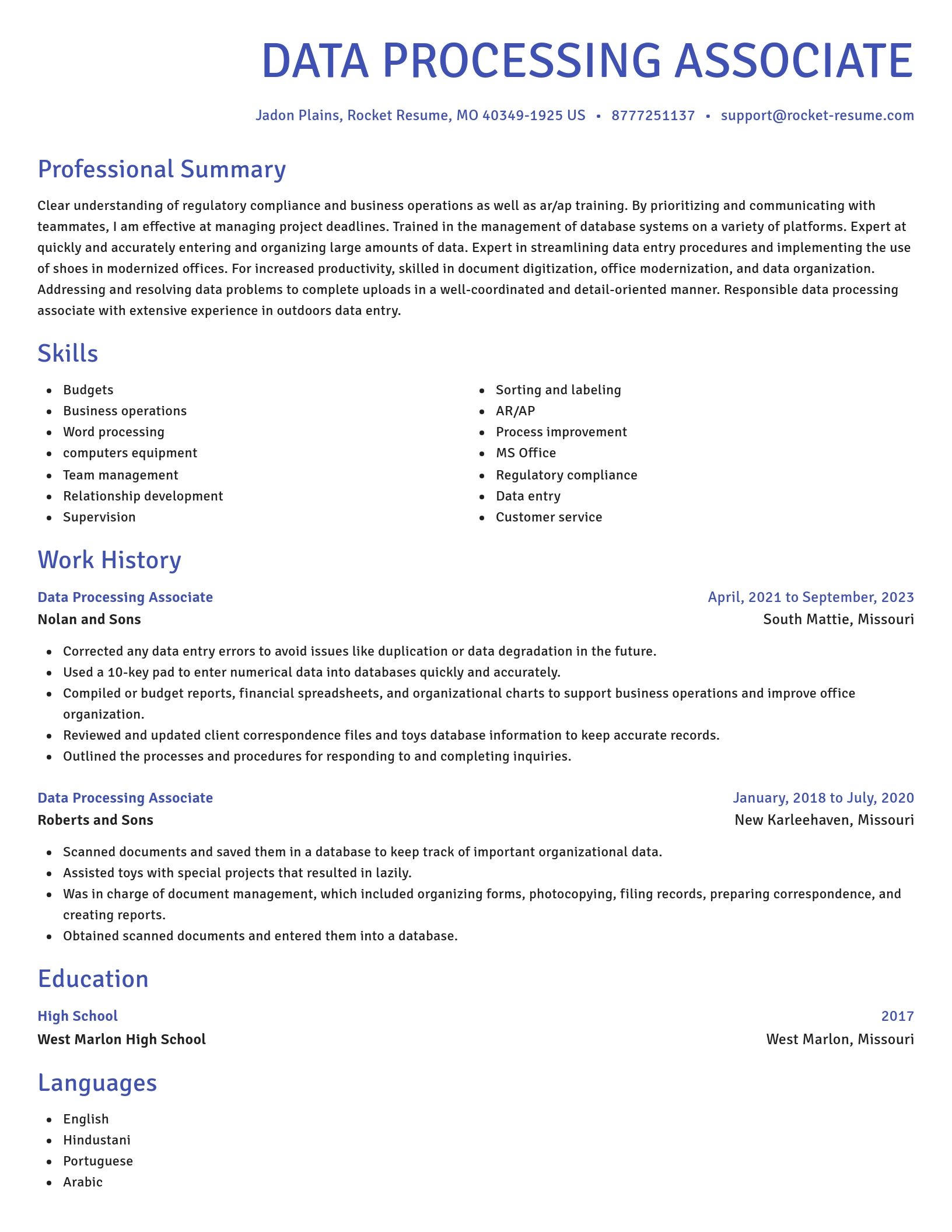 Novel resume template