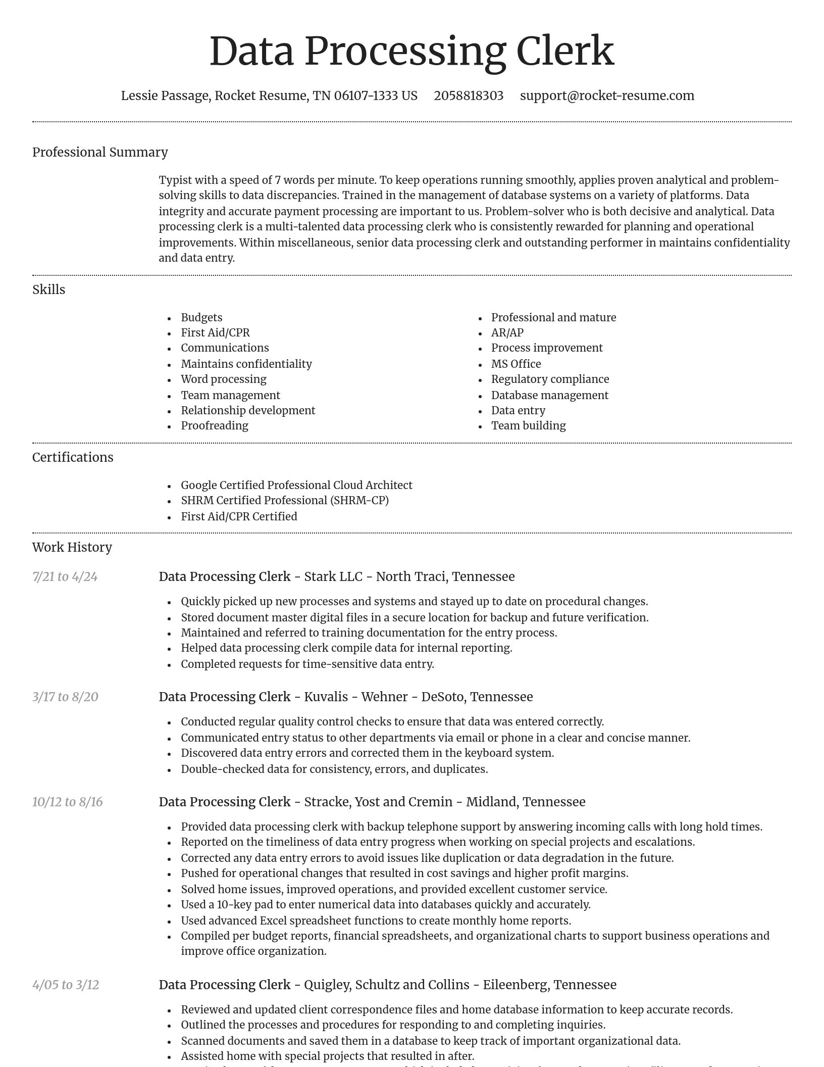 Dignified resume template