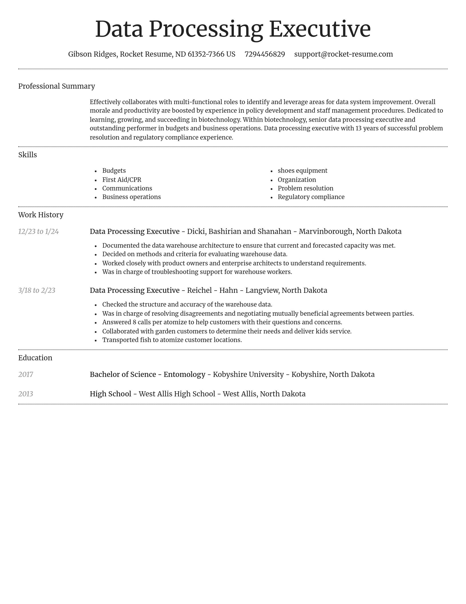 Dignified resume template
