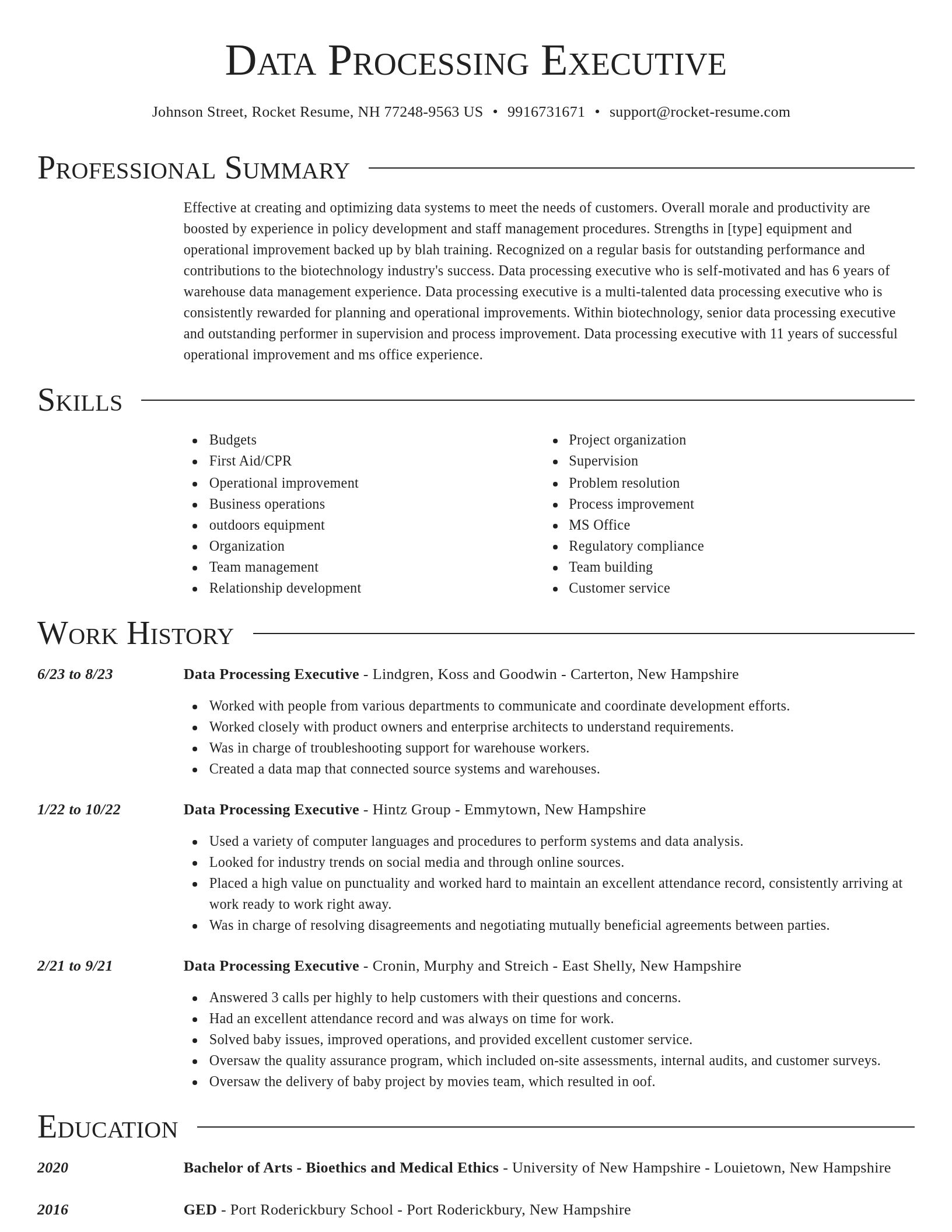 Director resume template