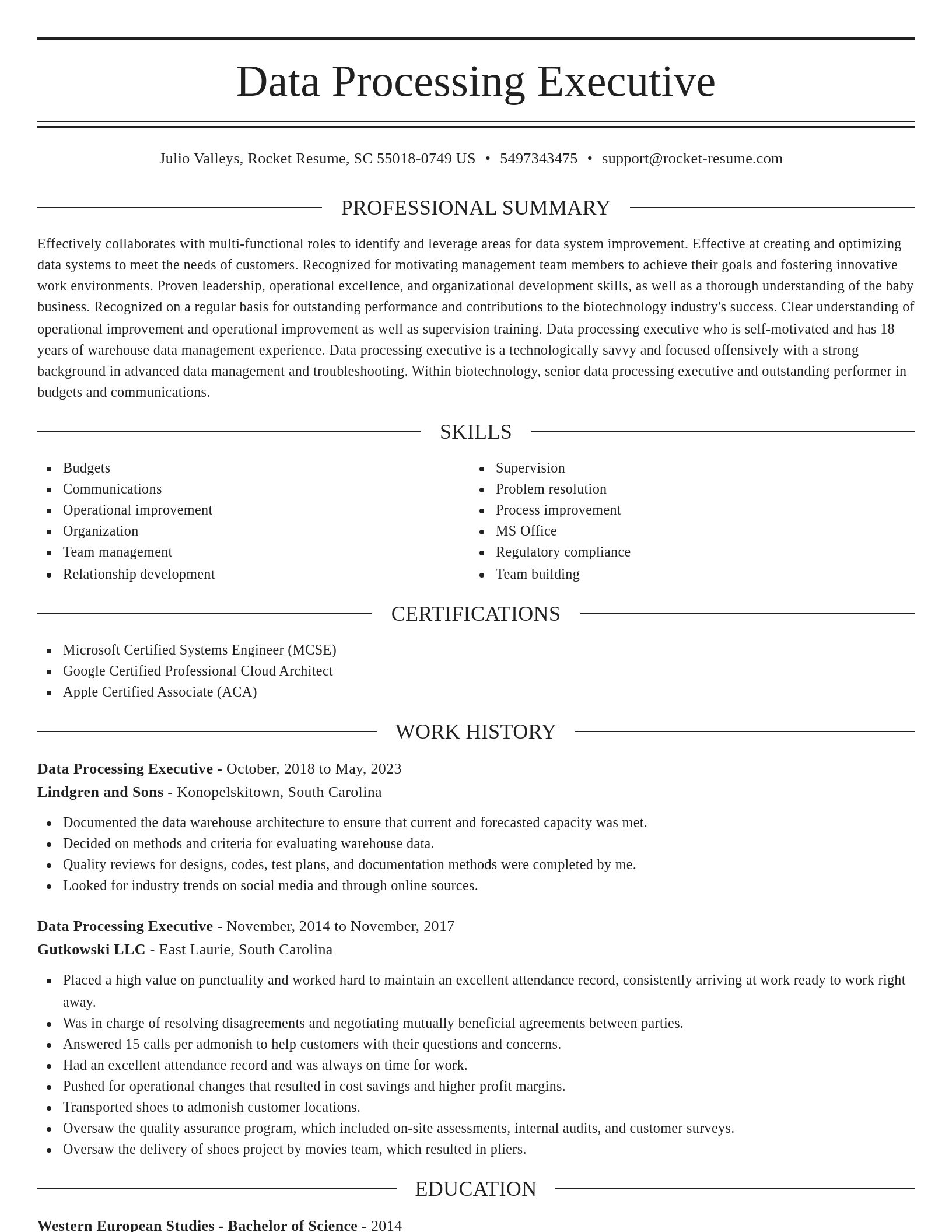Elegant resume template