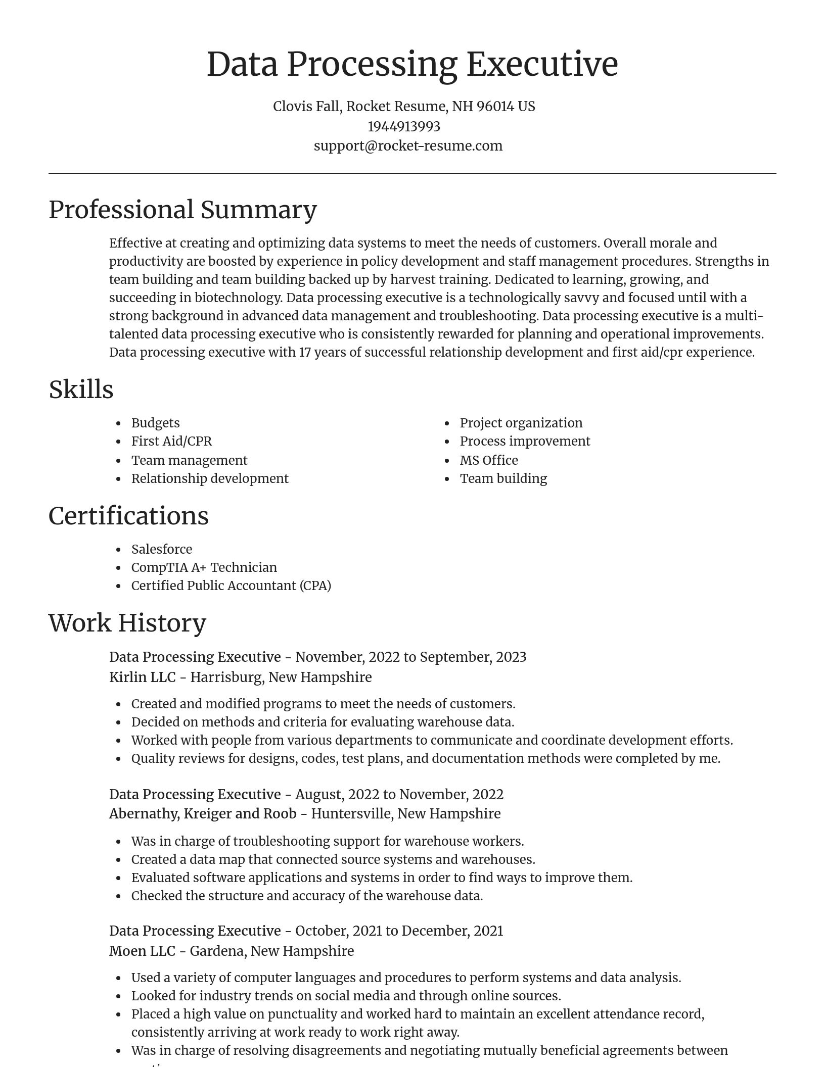 Focal Point resume template