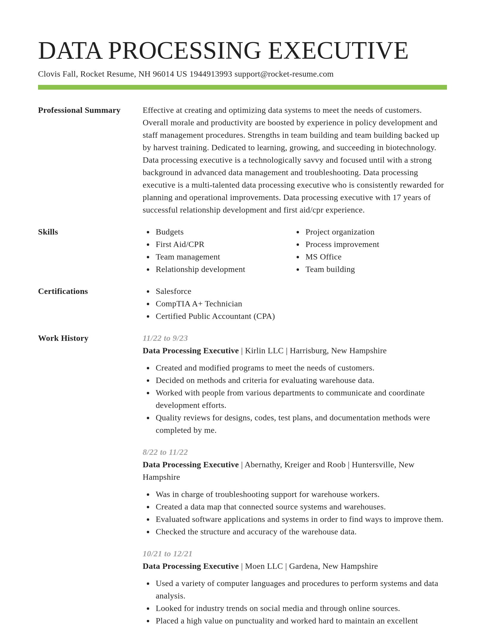Smart resume template