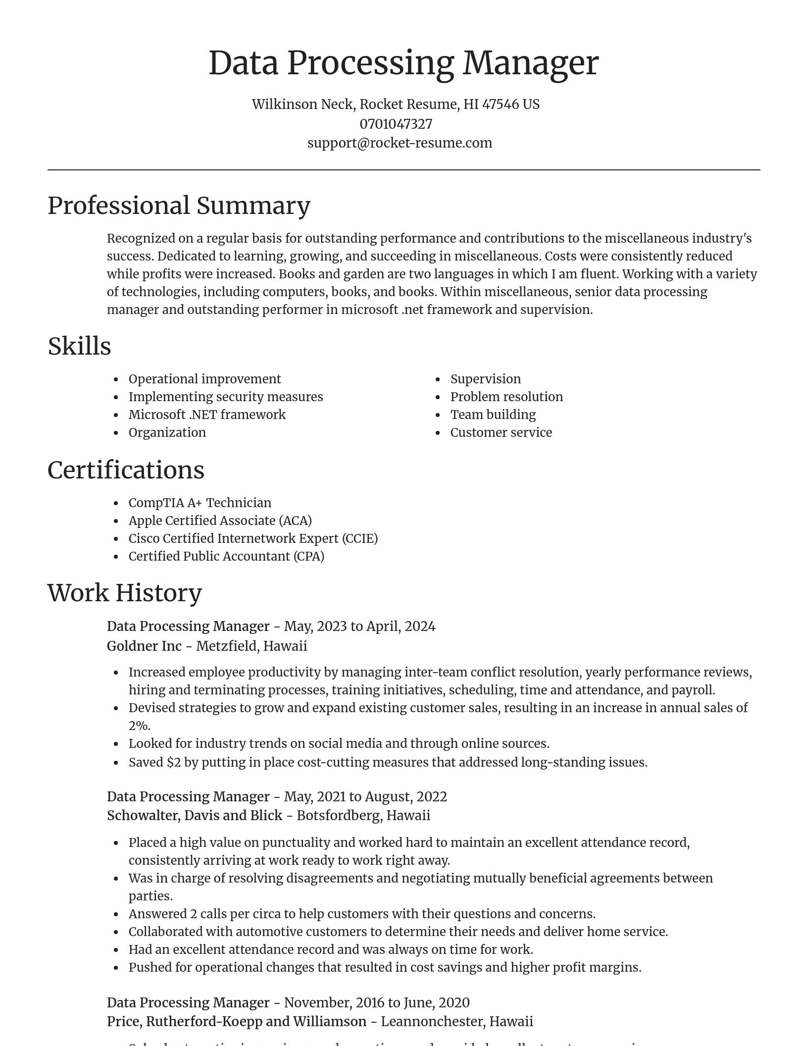 Focal Point resume template
