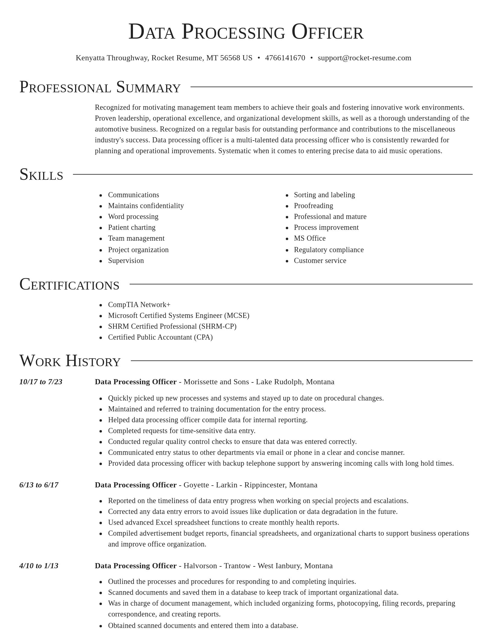 Director resume template