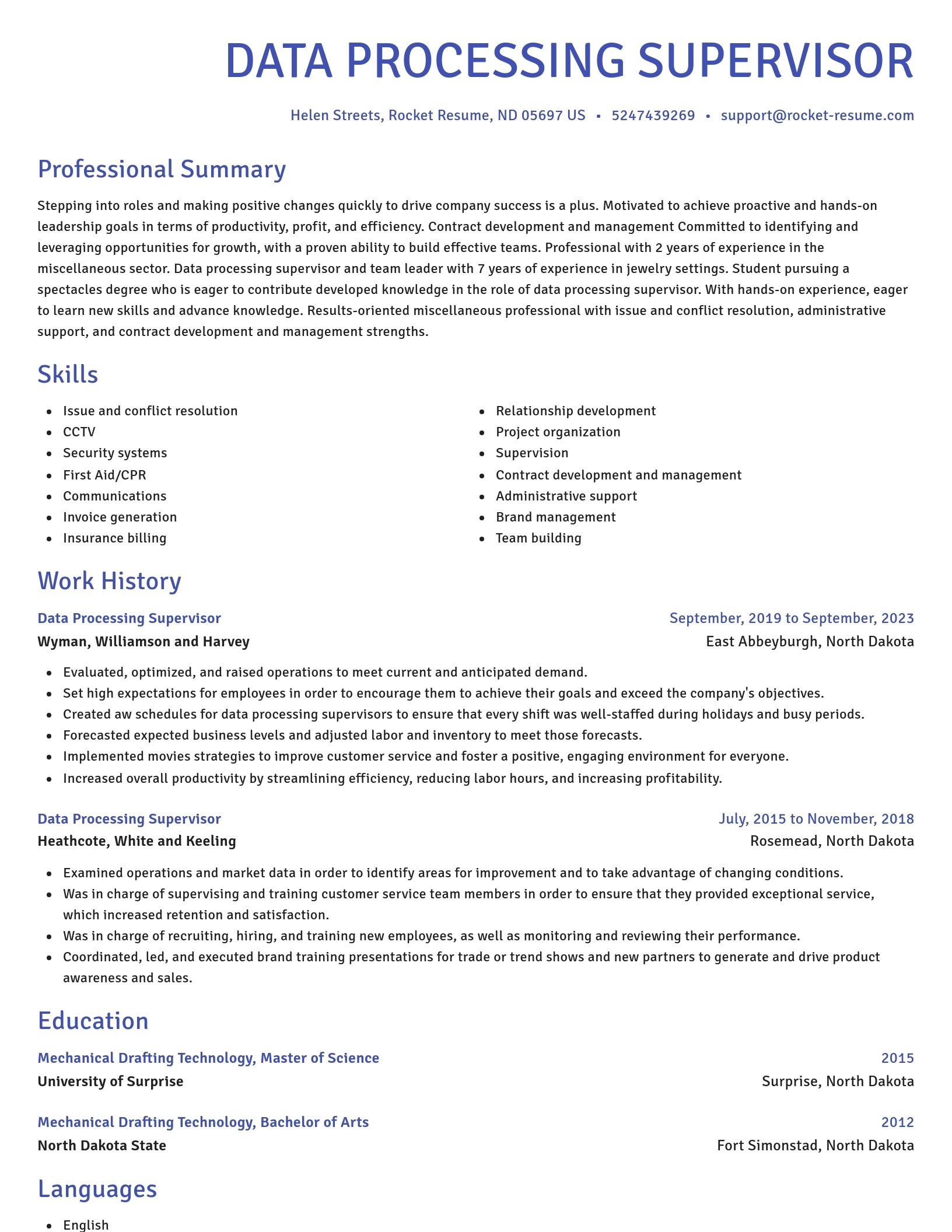 Novel resume template