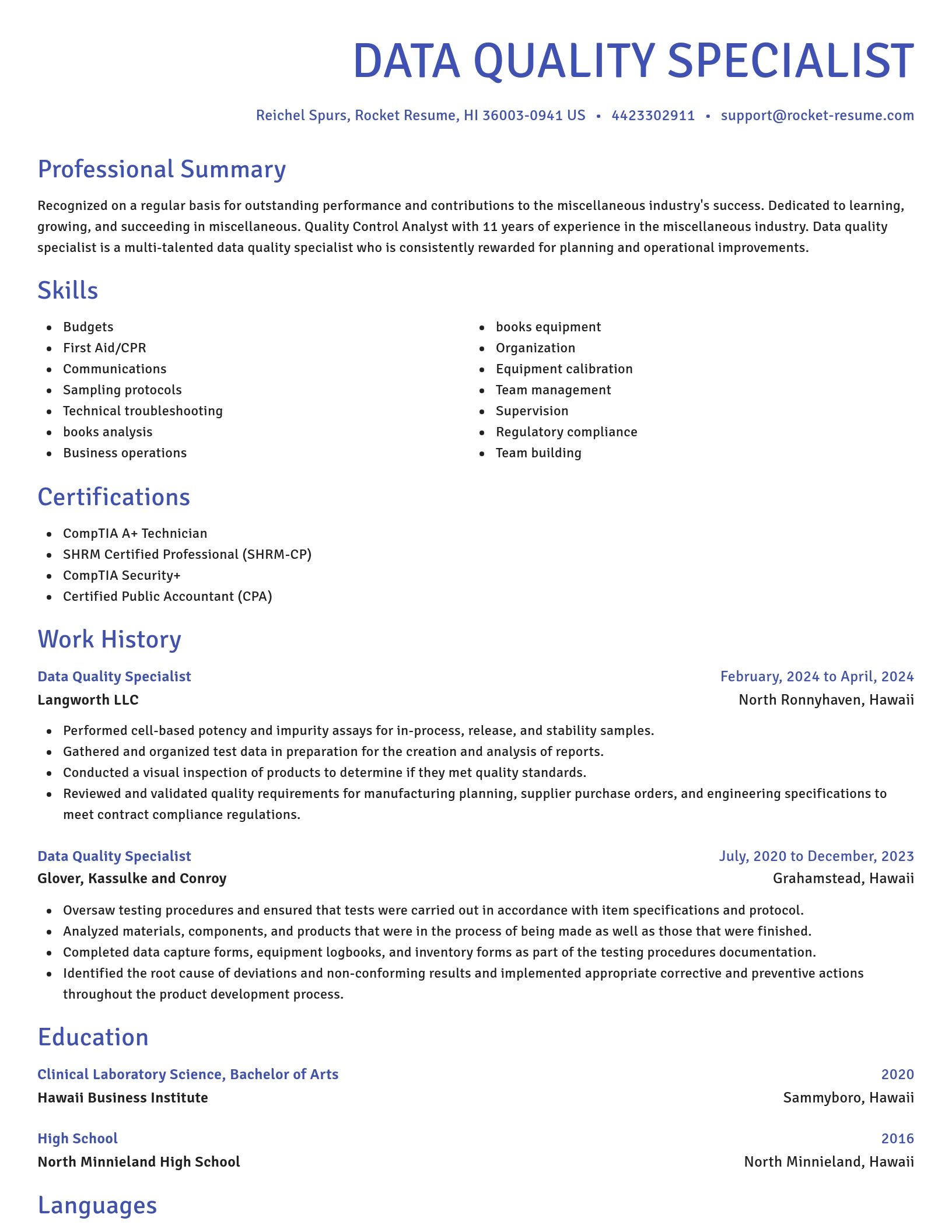 Novel resume template