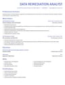 Data Remediation Analyst resume template