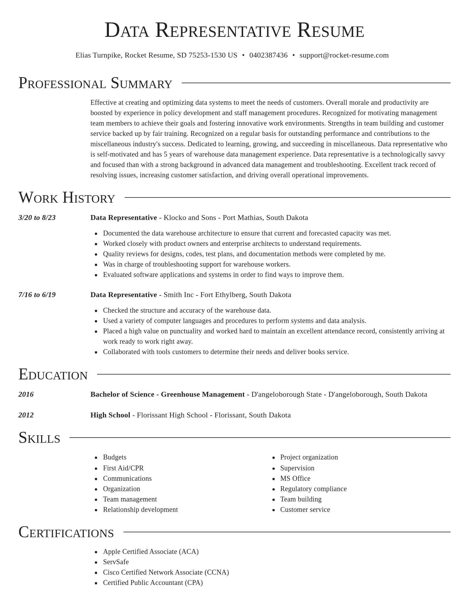 Director resume template