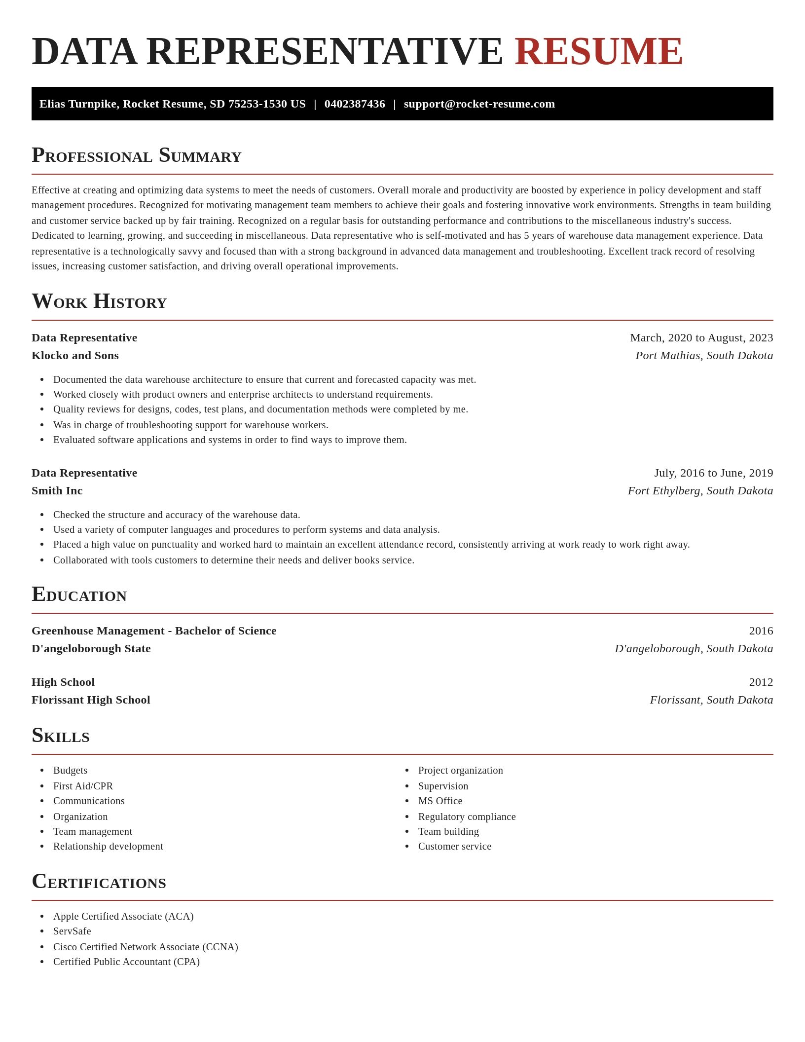 Exquisite resume template