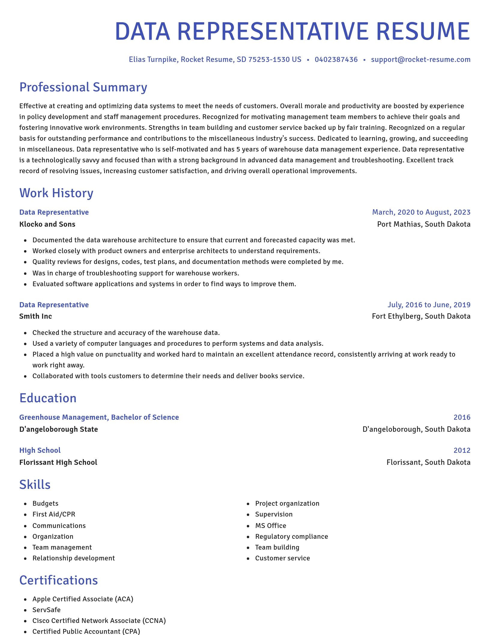 Novel resume template