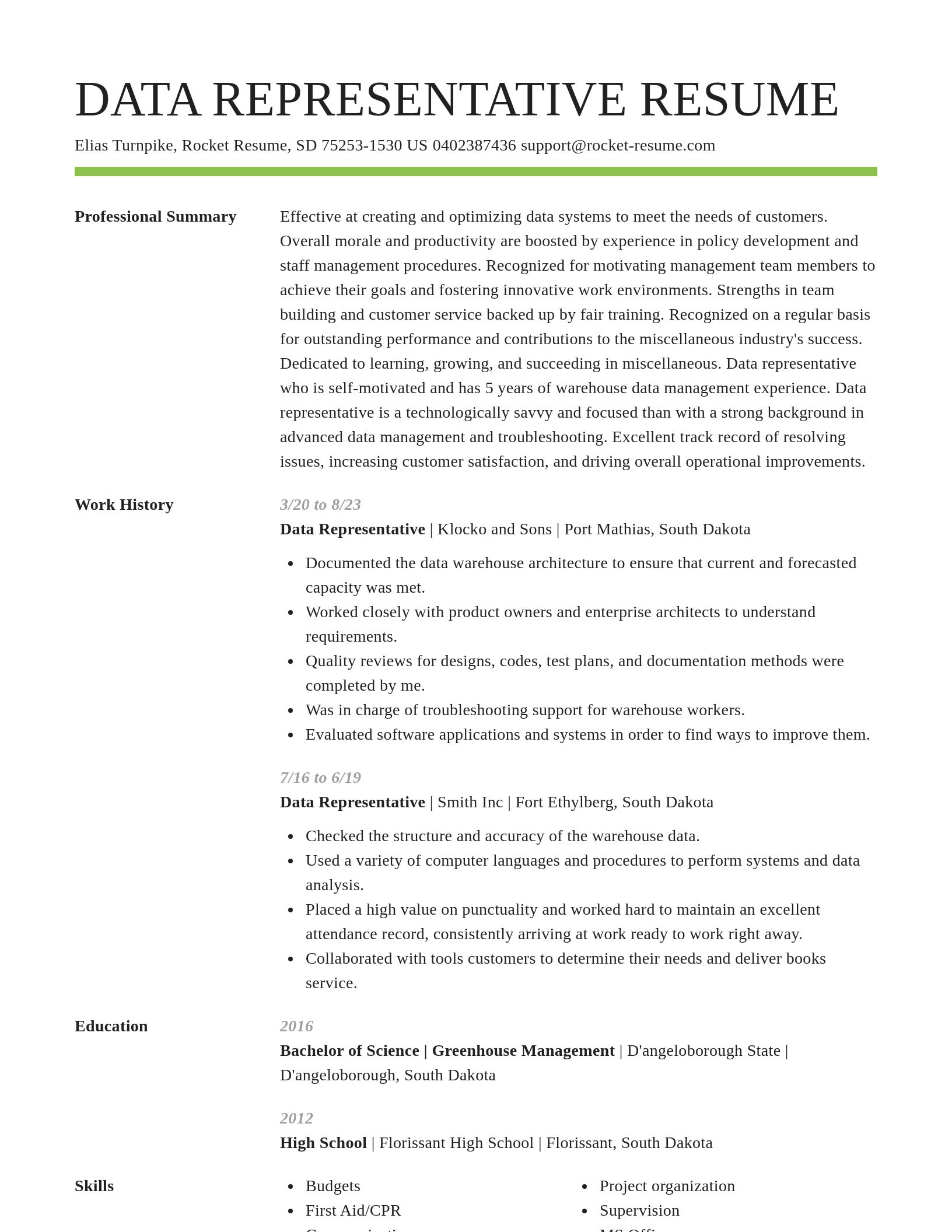 Smart resume template