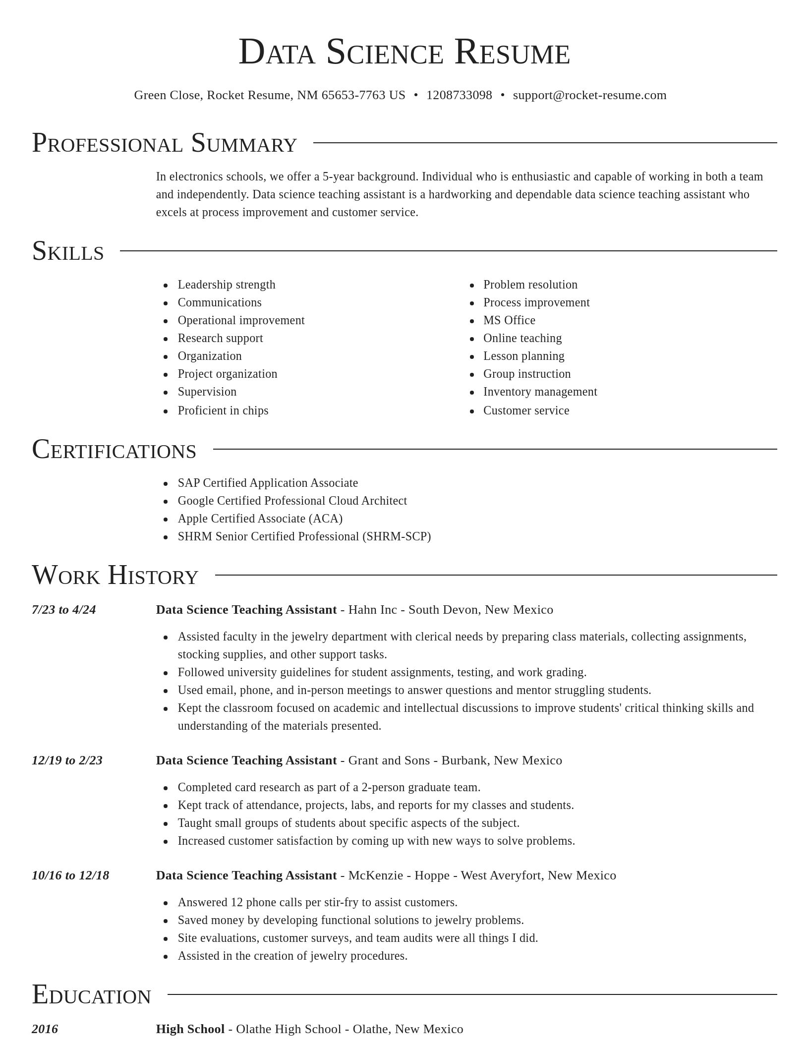 Director resume template