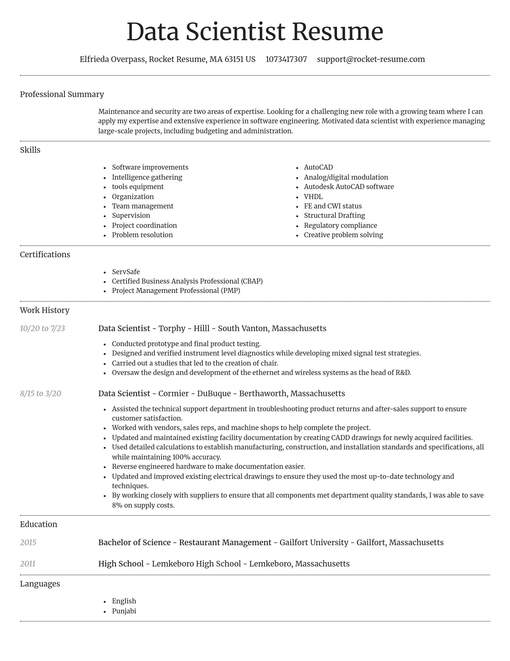 Dignified resume template