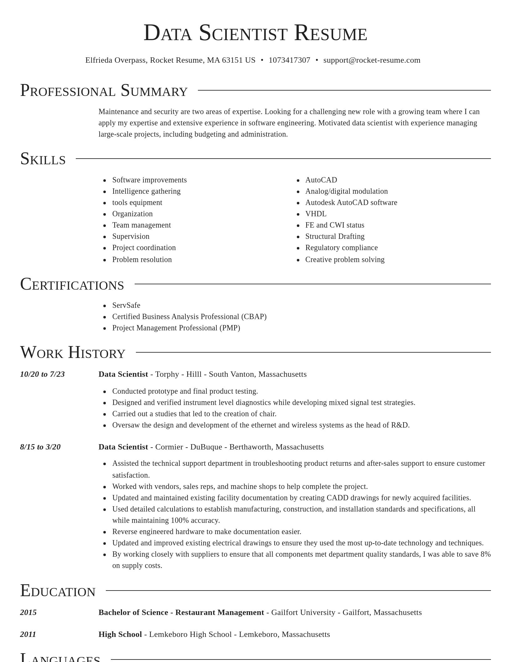 Director resume template
