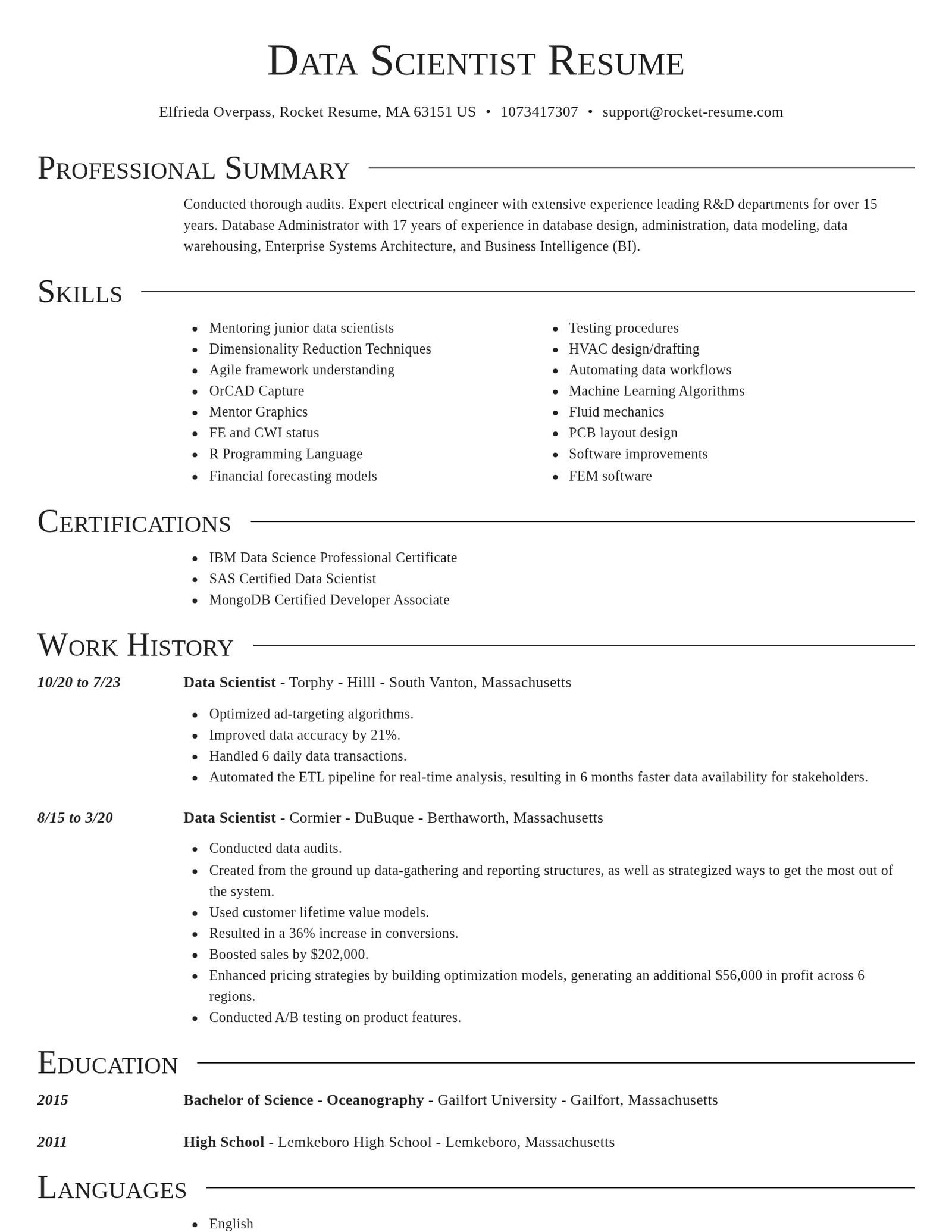 Director resume template
