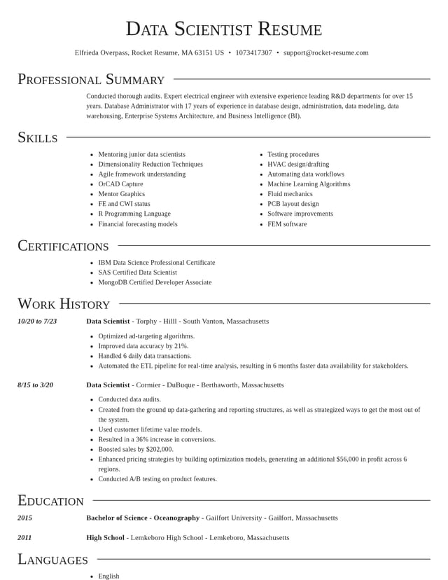 Director resume template