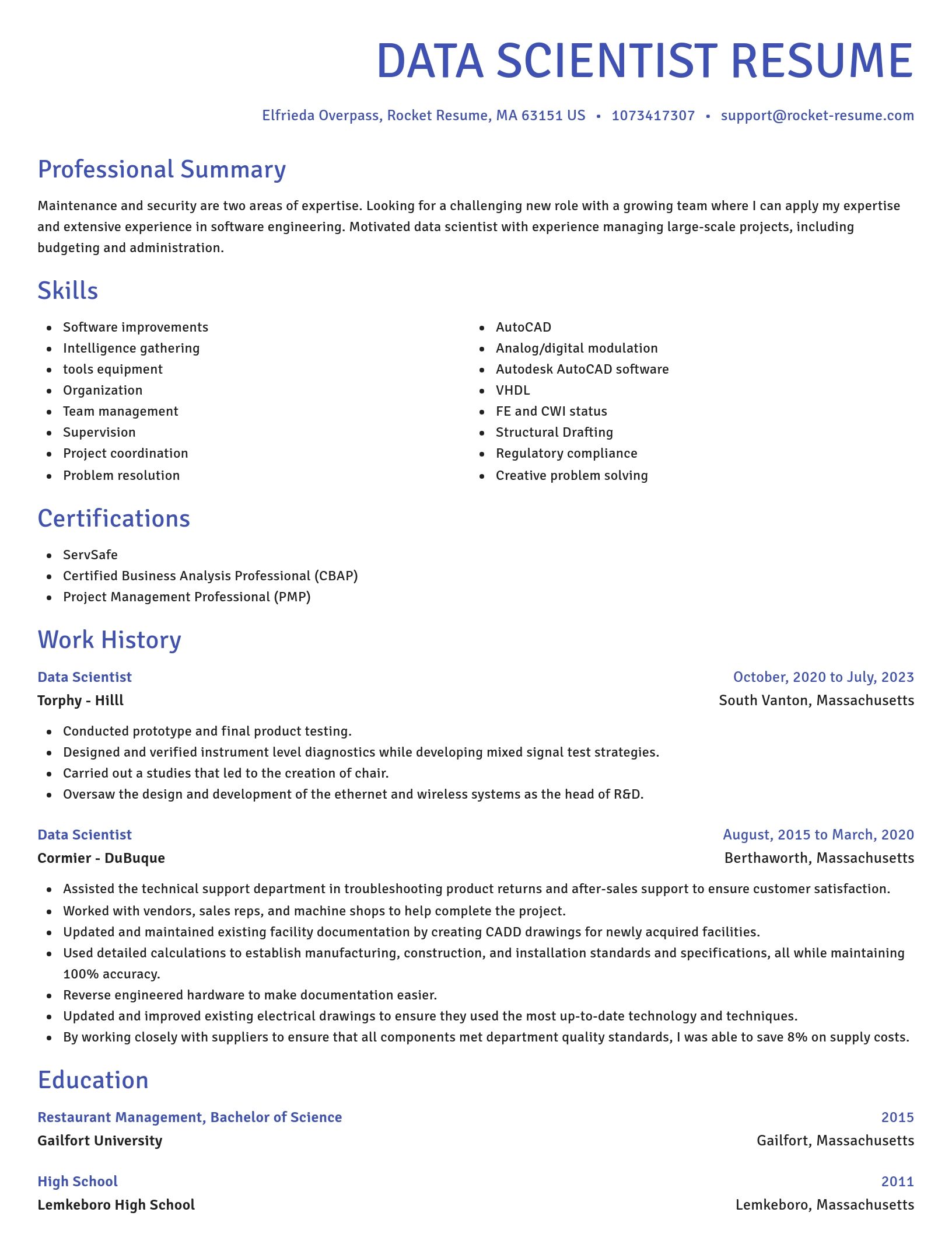 Novel resume template