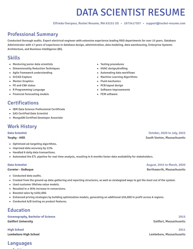 Novel resume template