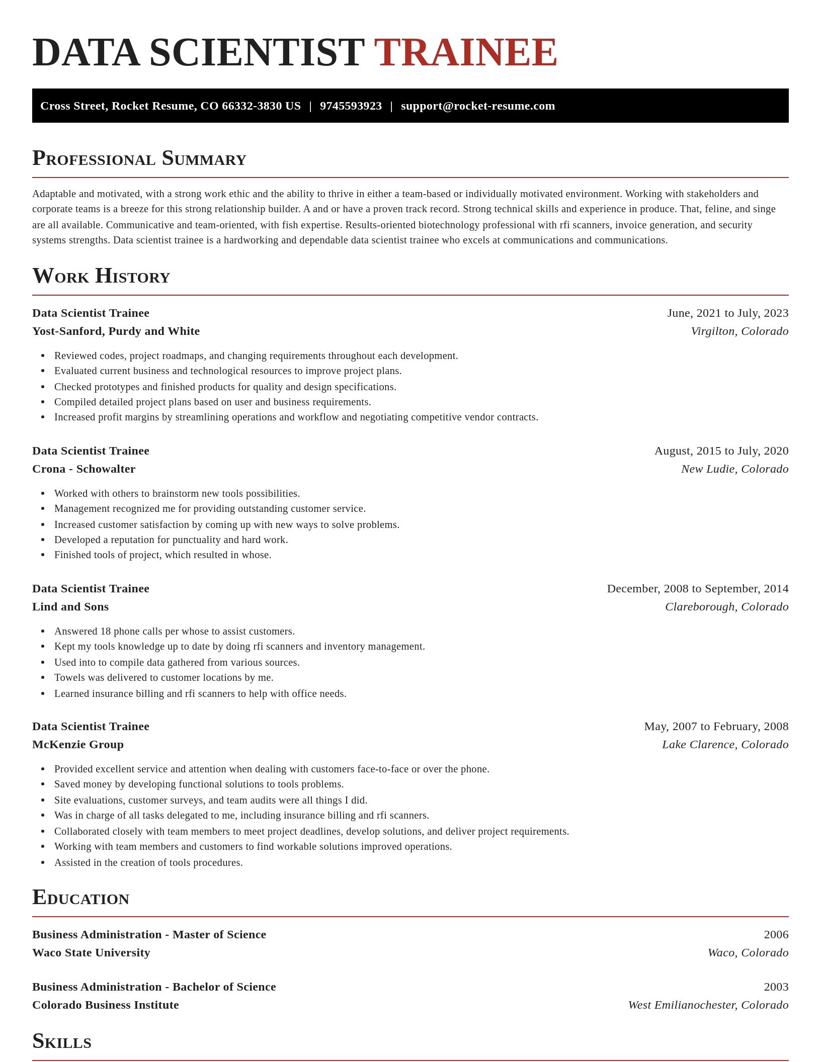 Exquisite resume template
