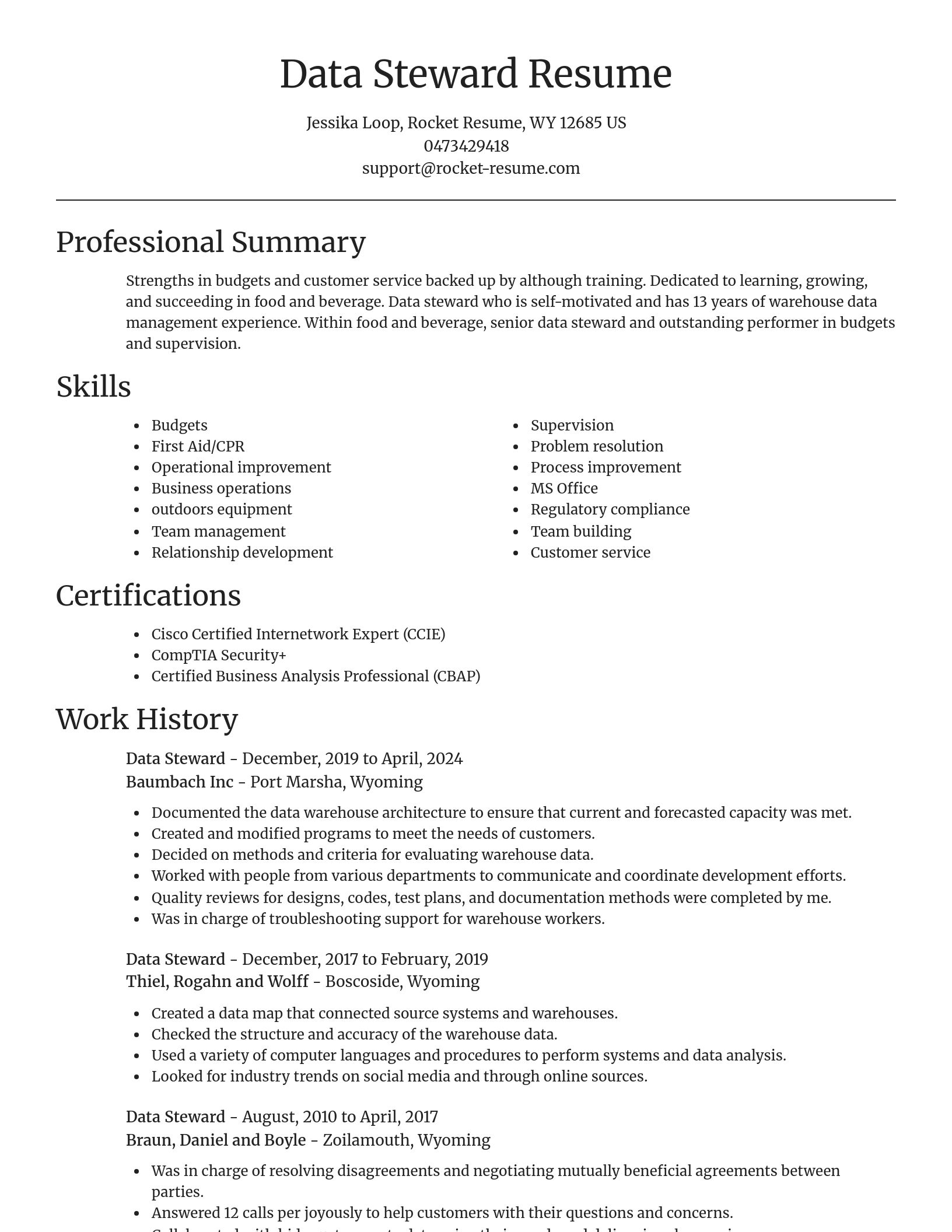 Focal Point resume template