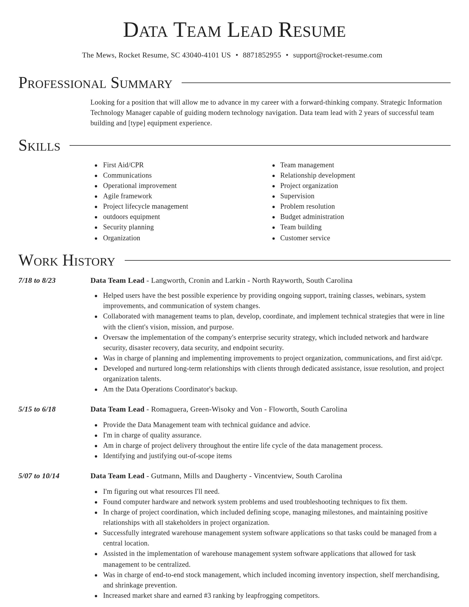 Director resume template