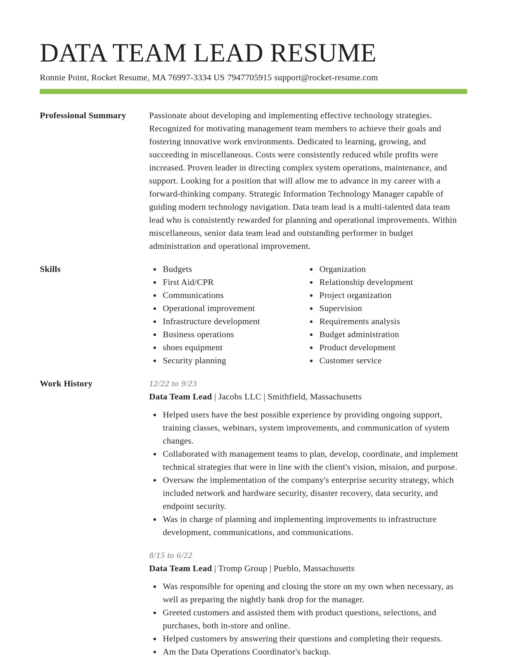 Smart resume template
