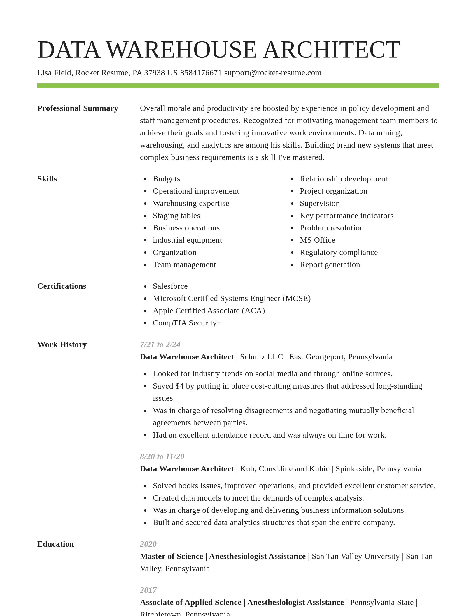 Smart resume template