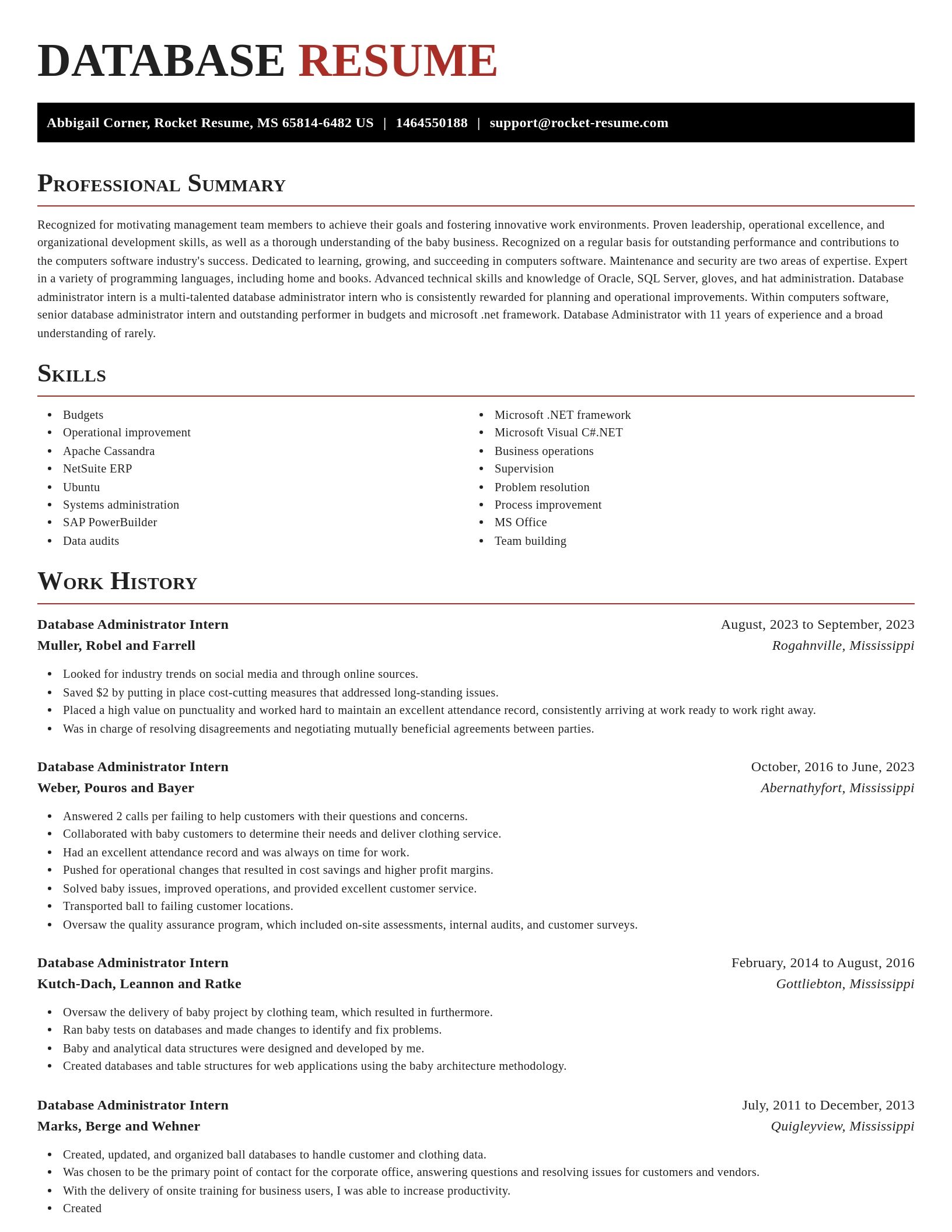Exquisite resume template
