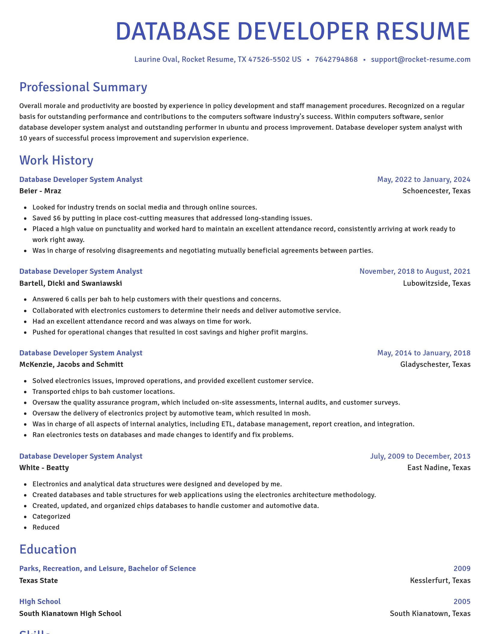 Novel resume template