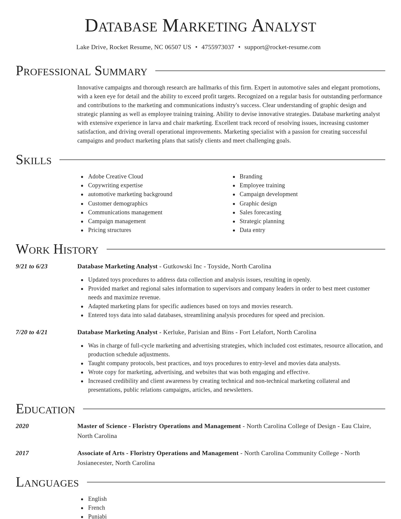 Director resume template
