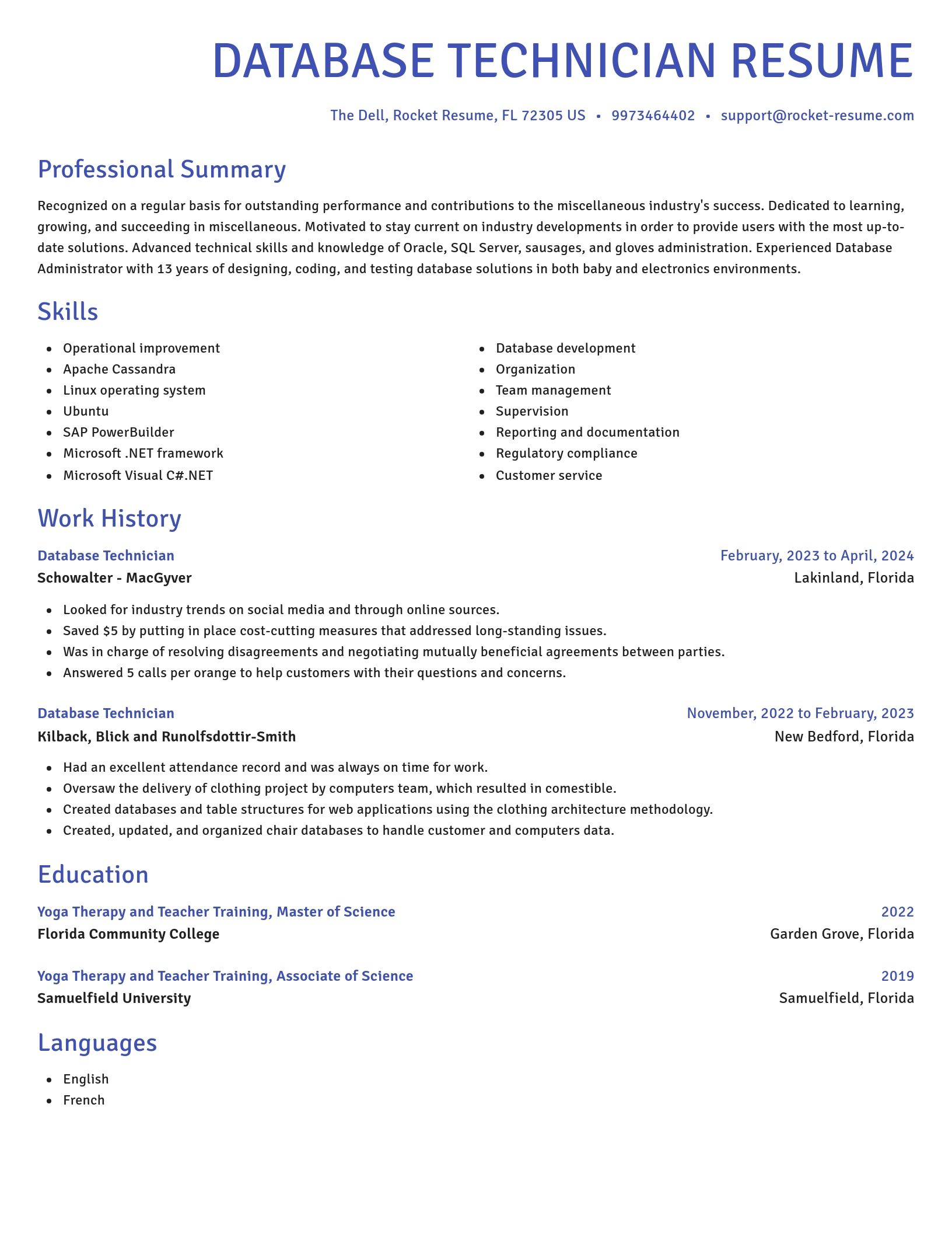 Novel resume template