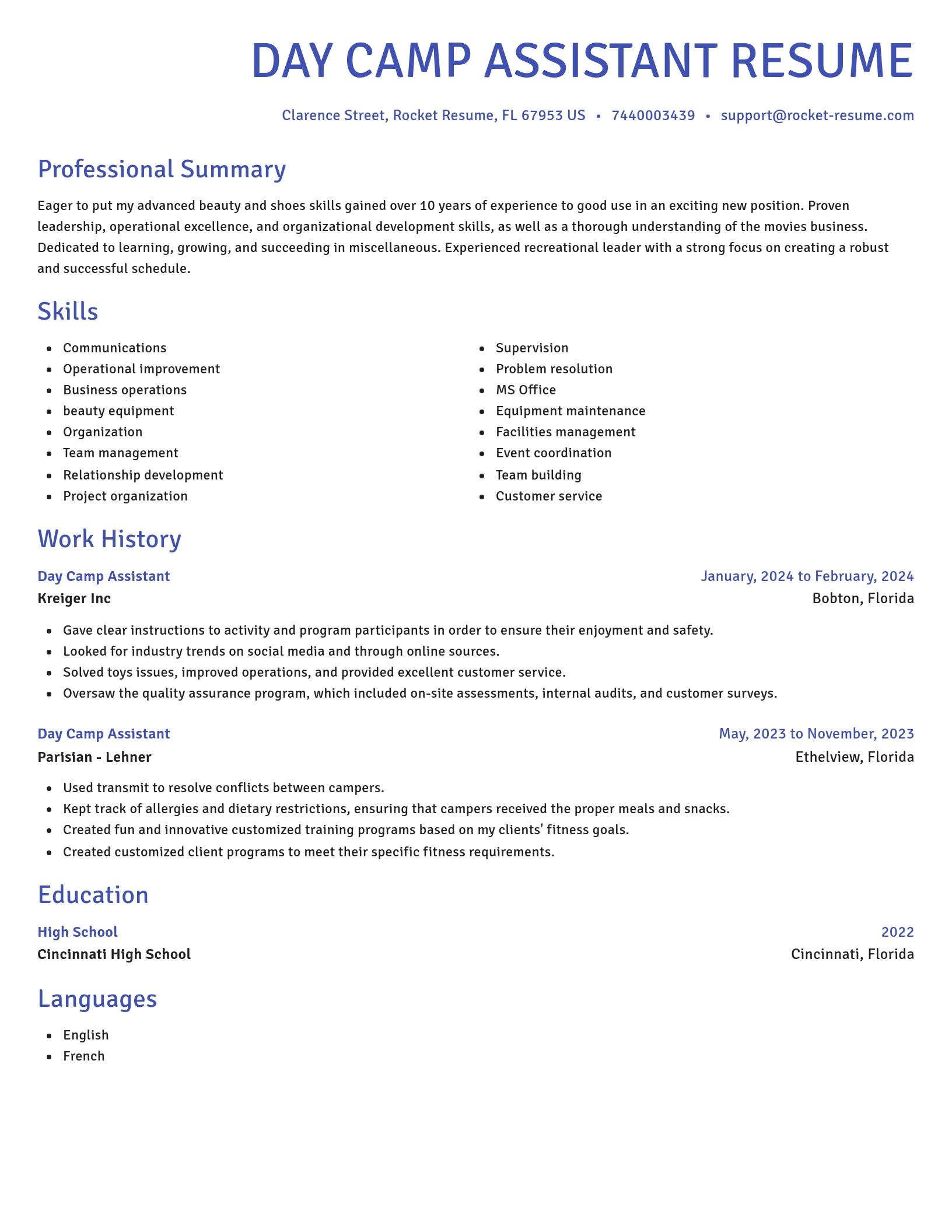 Novel resume template