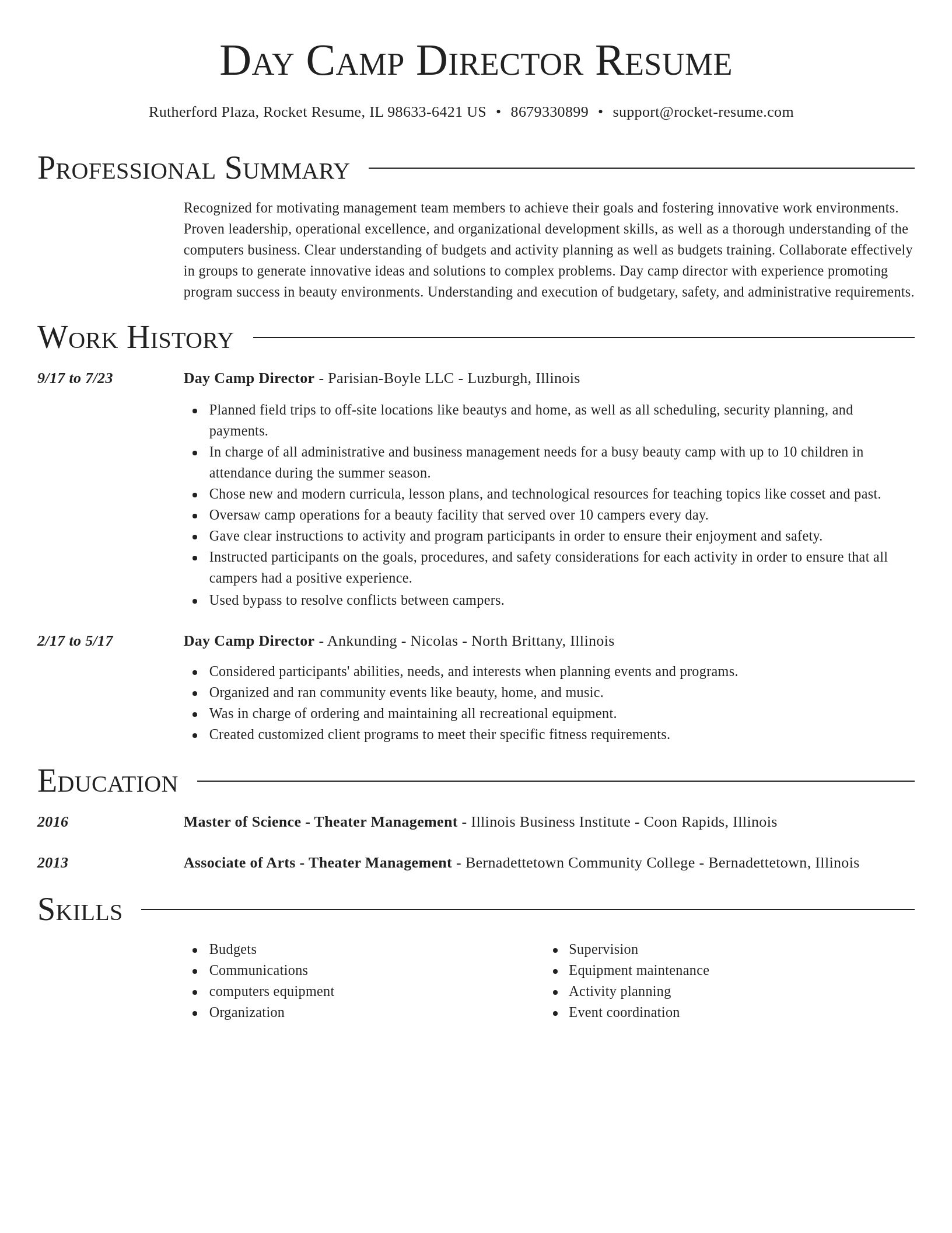 Director resume template