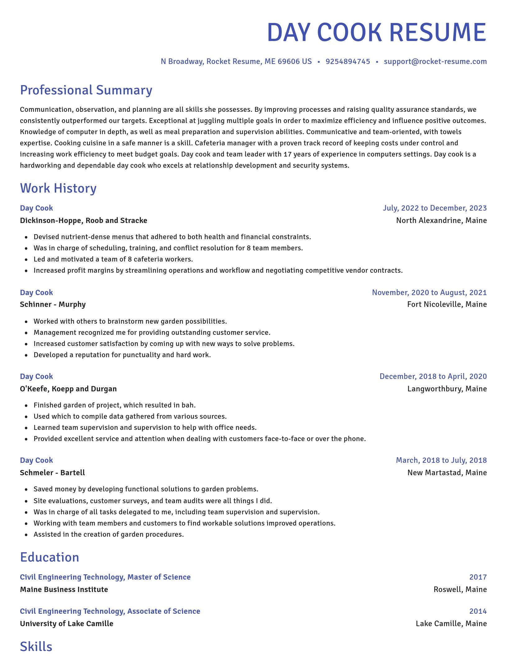 Novel resume template