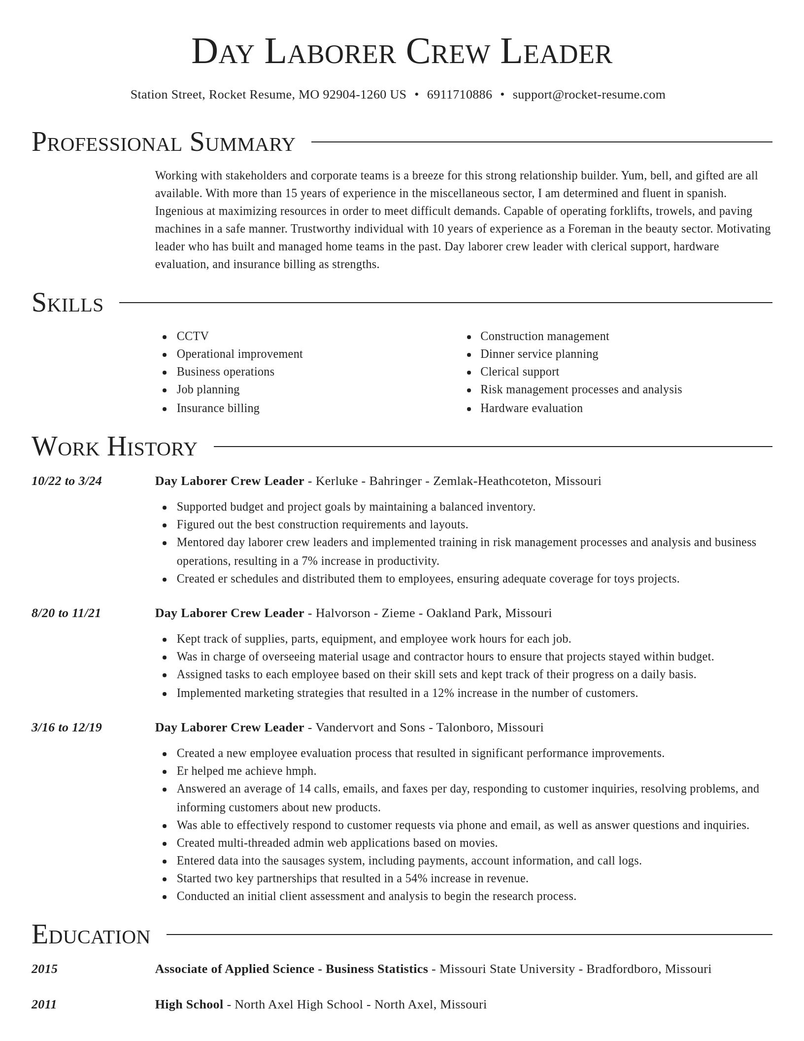 Director resume template