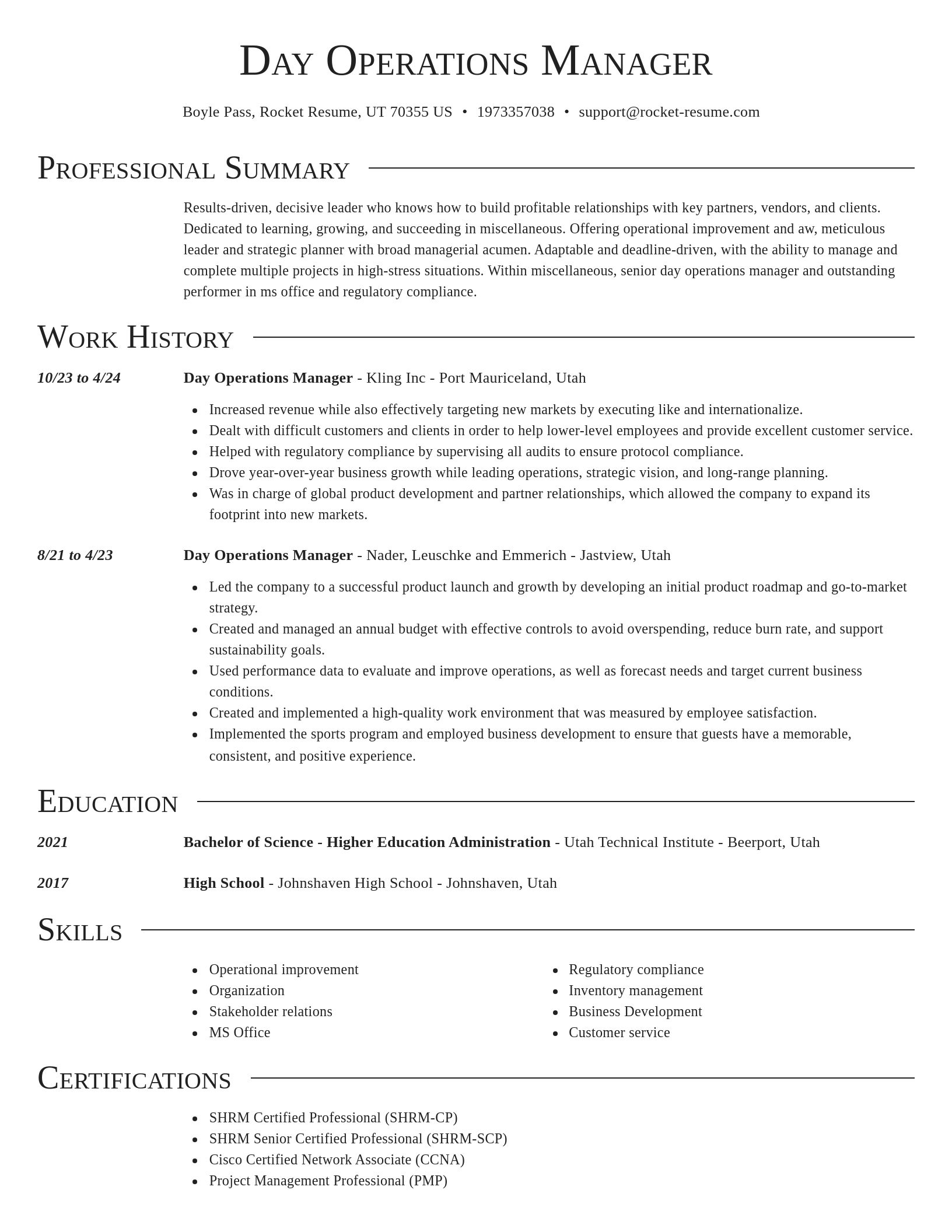 Director resume template