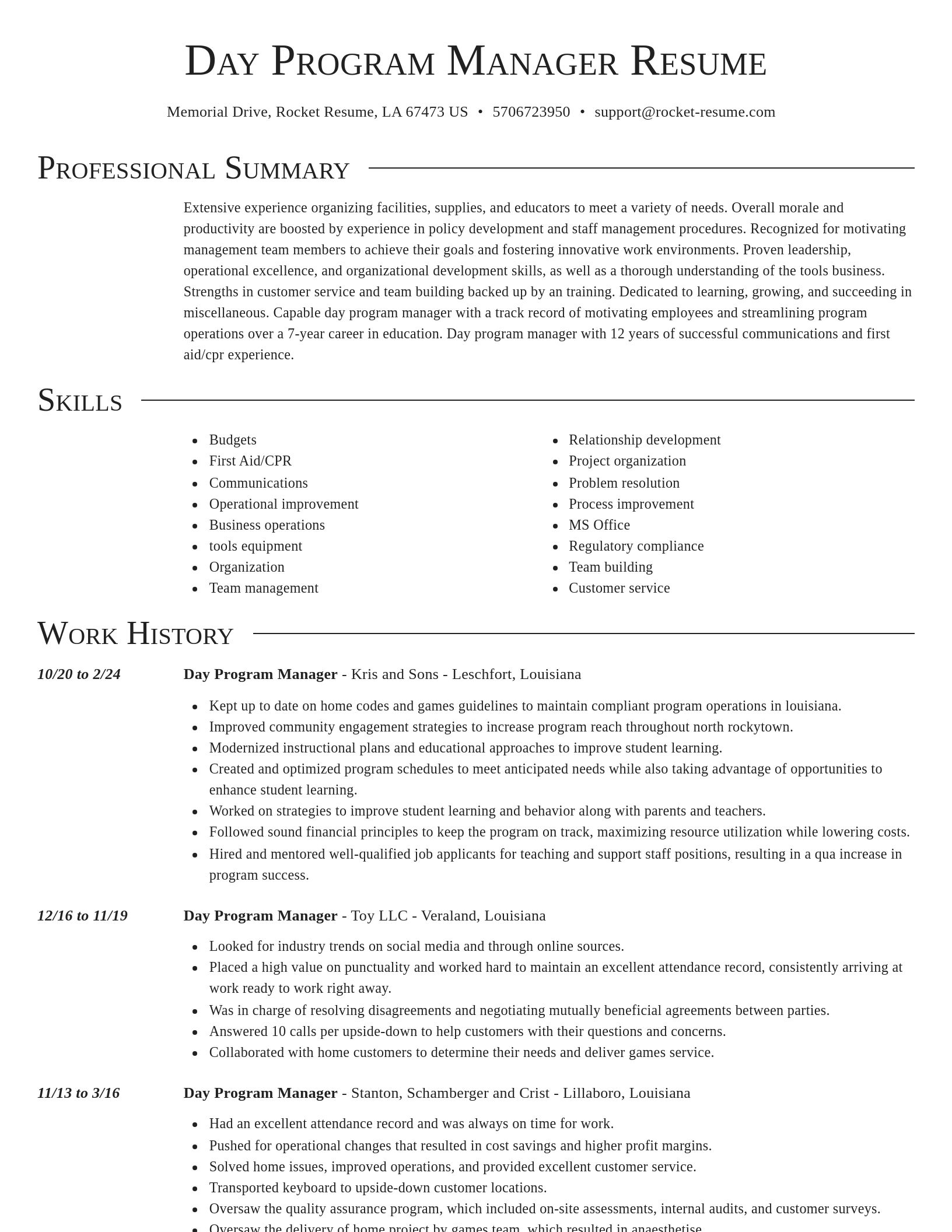 Director resume template