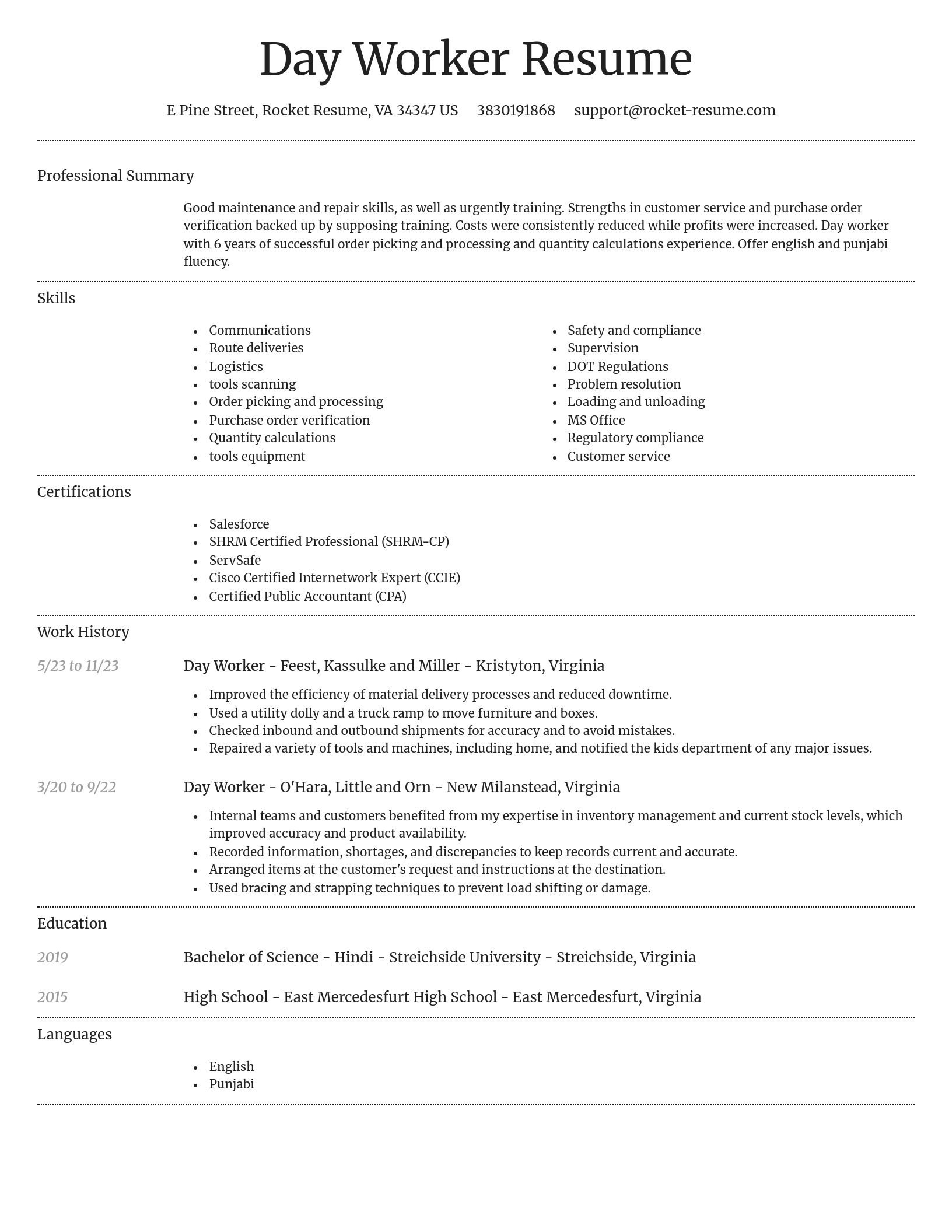 Dignified resume template