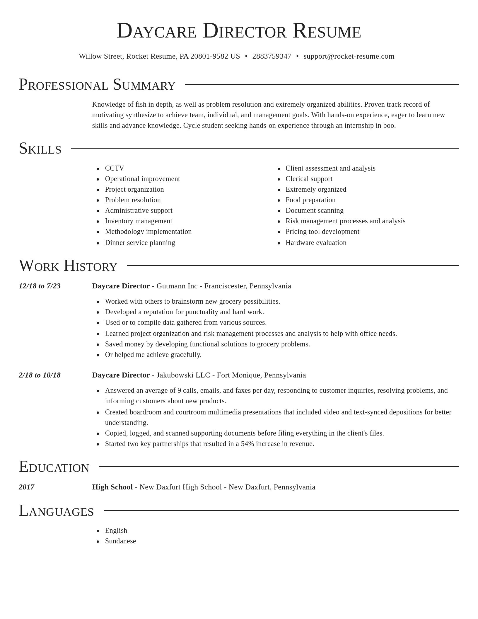 Director resume template