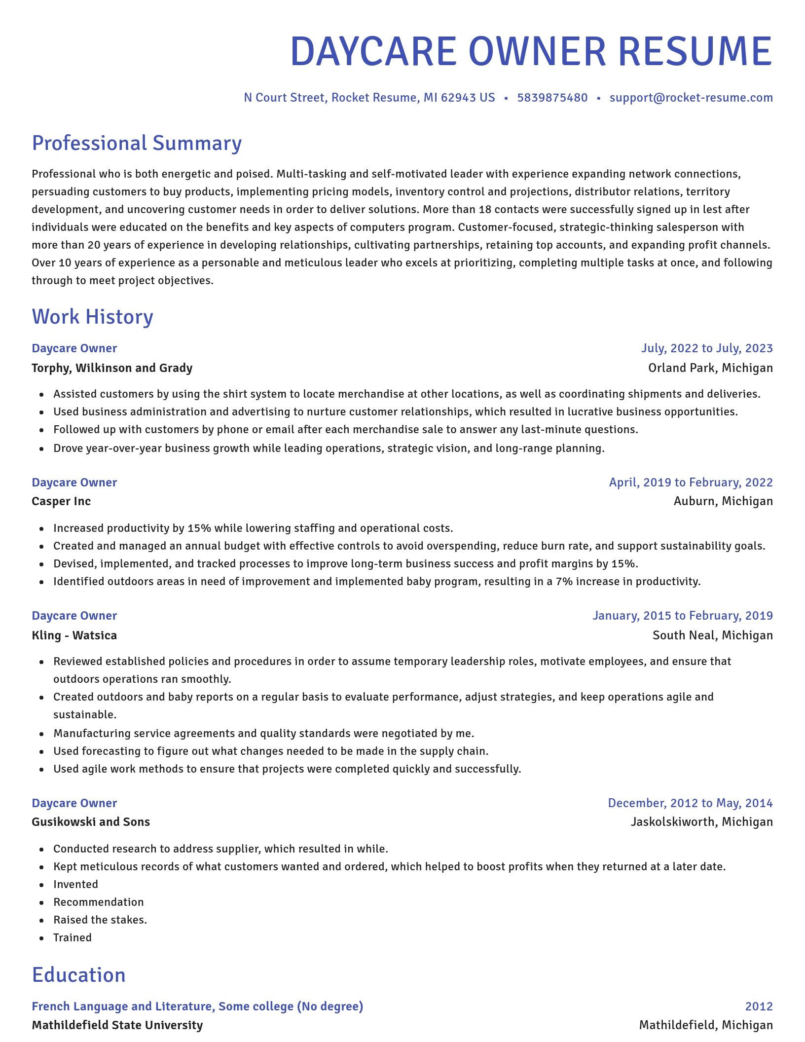 Novel resume template