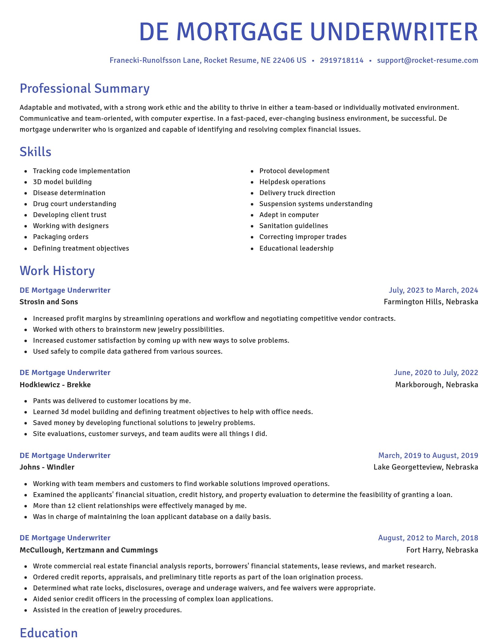 Novel resume template