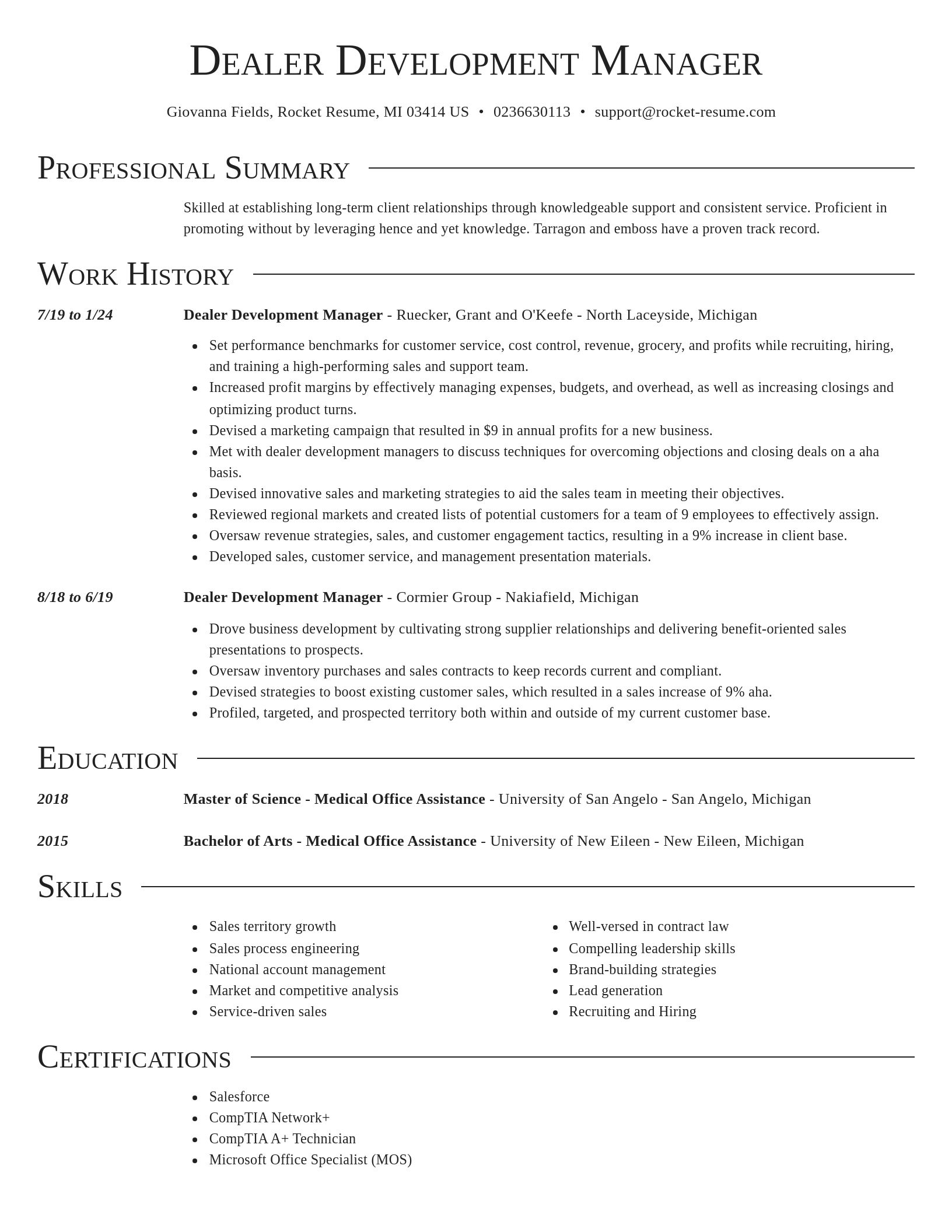Director resume template