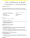 Dealer Principal resume template