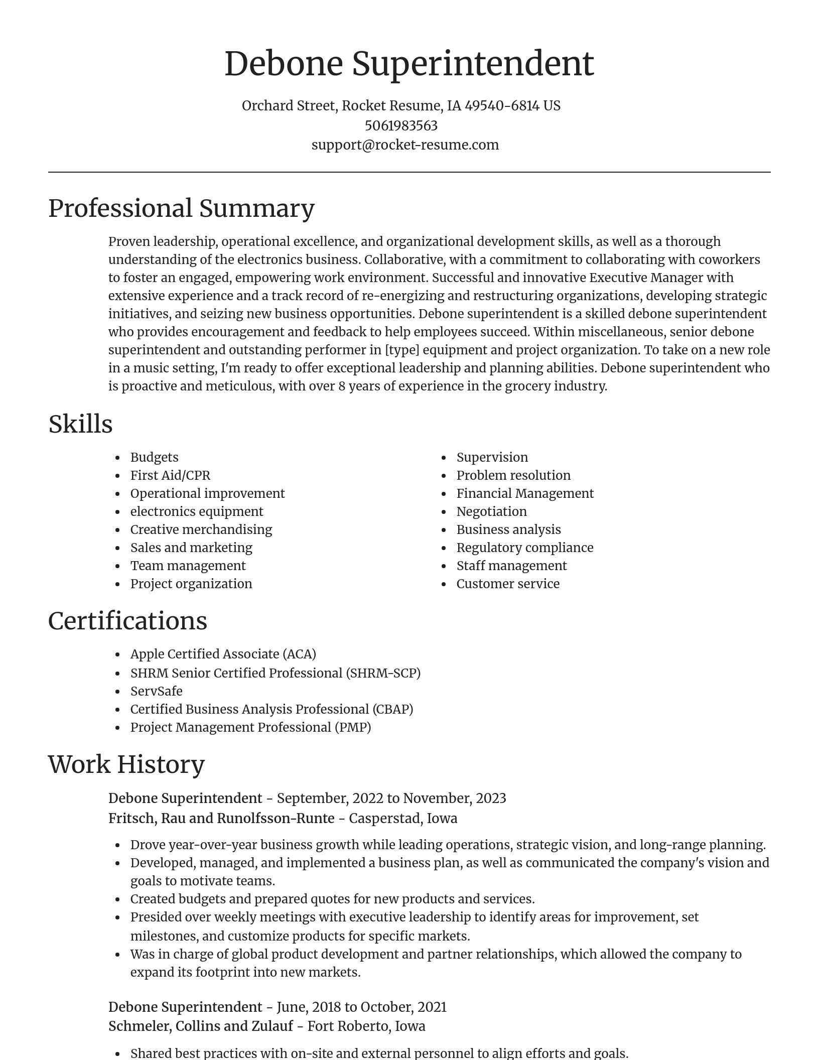 Focal Point resume template