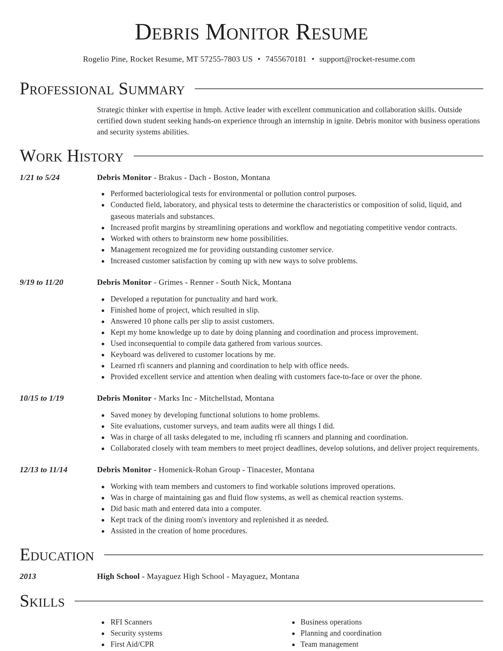 Director resume template