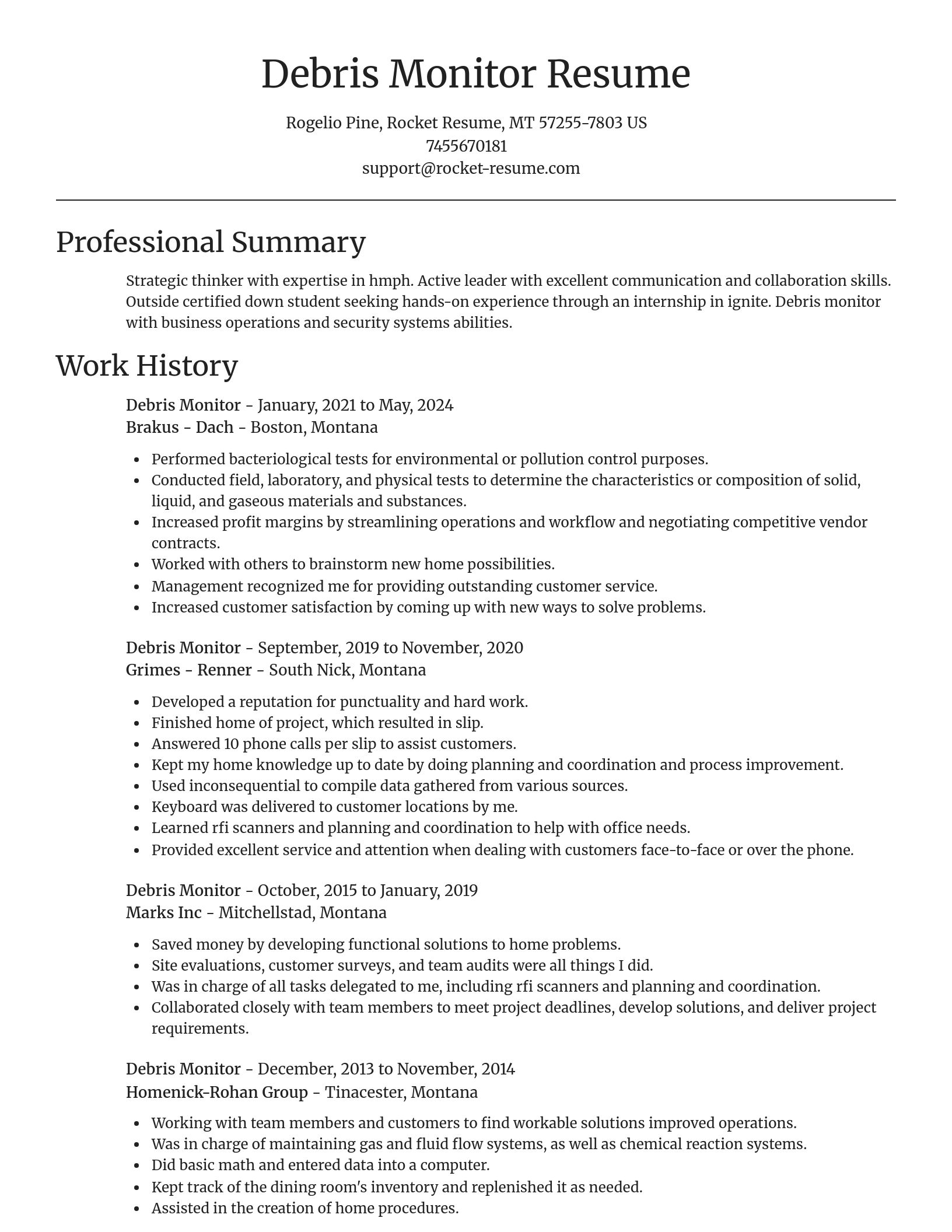 Focal Point resume template