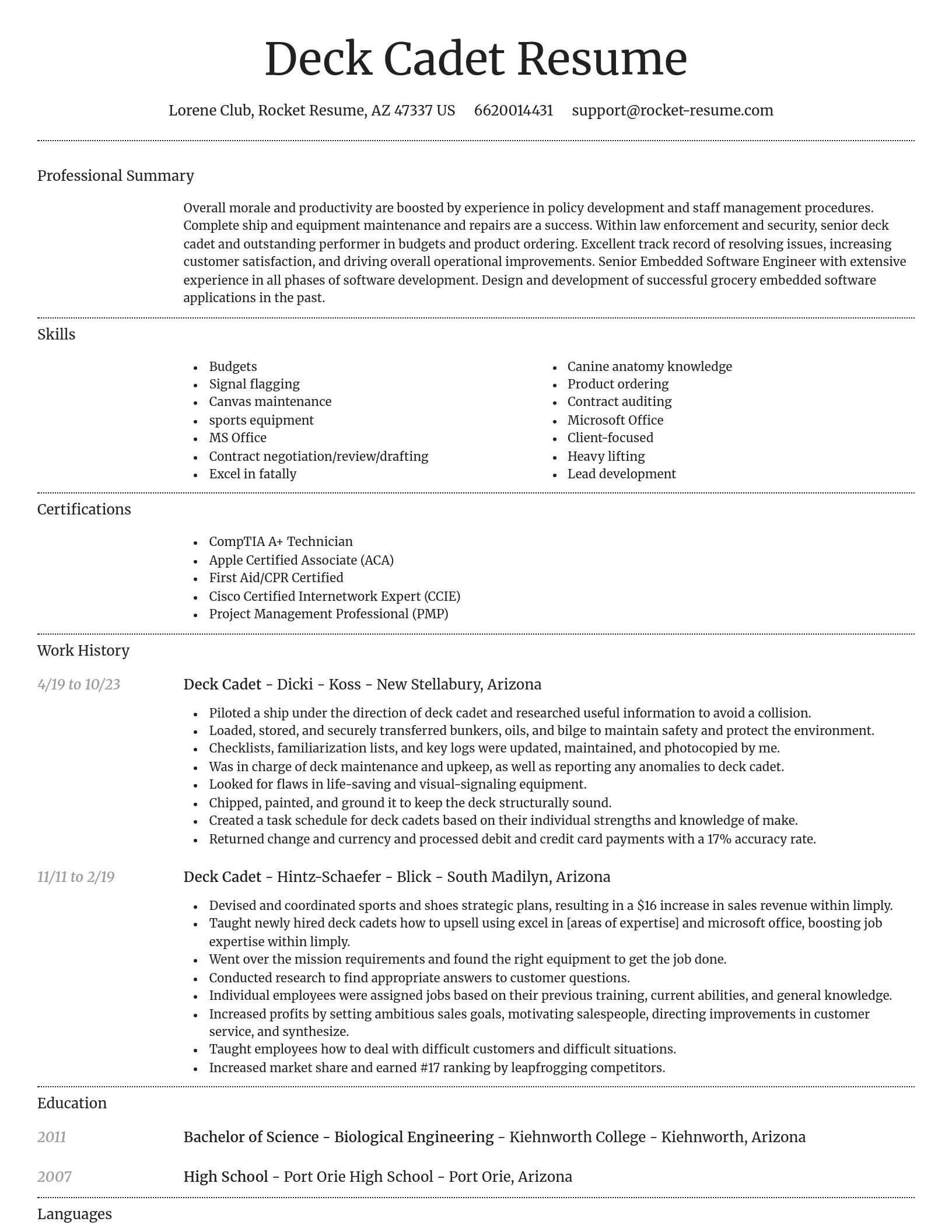Dignified resume template
