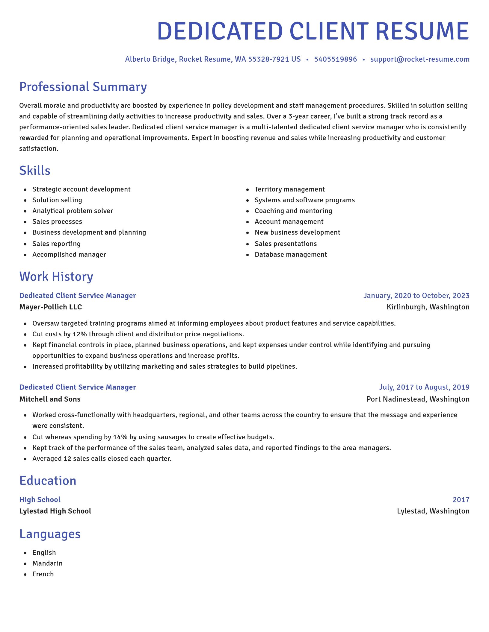 Novel resume template