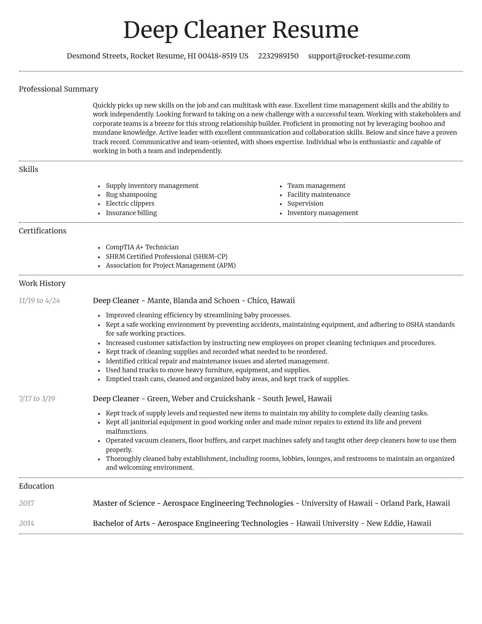 Dignified resume template